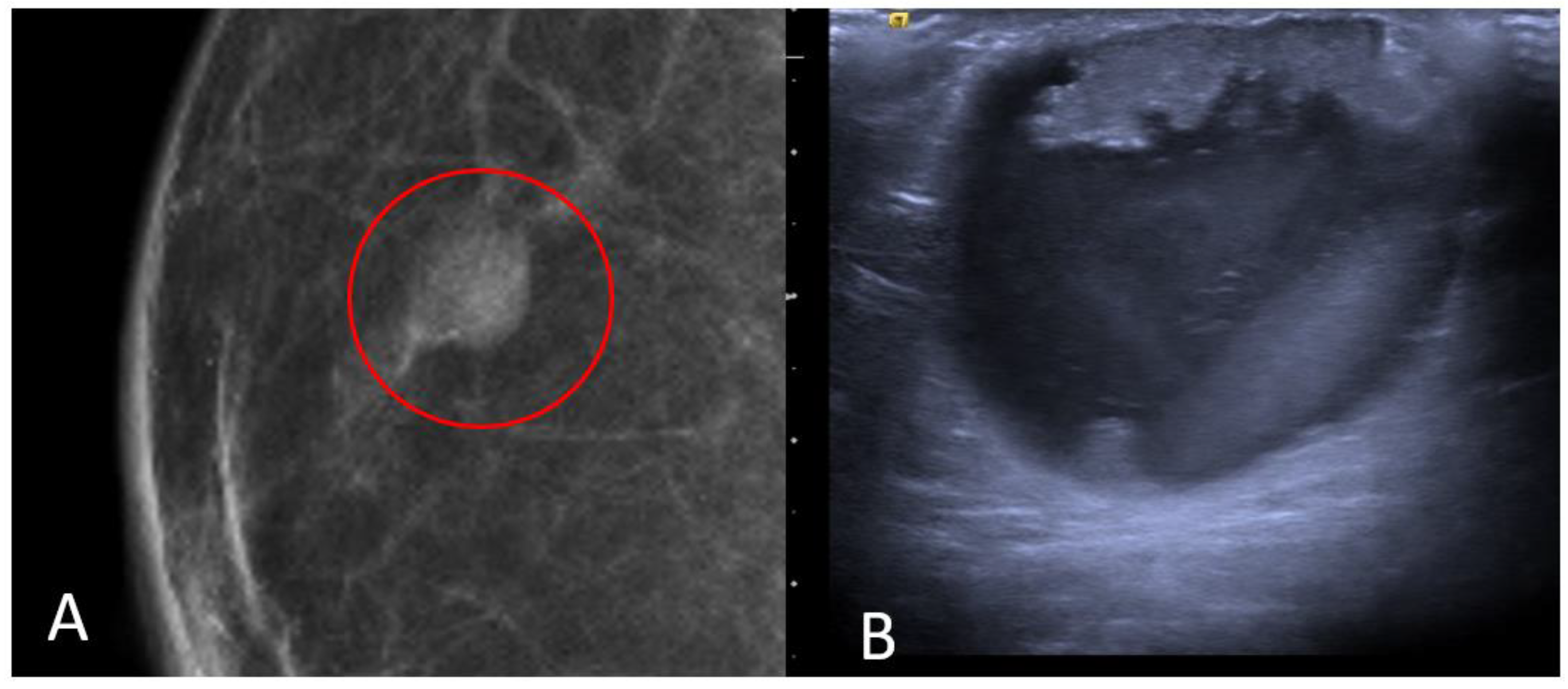 Diagnostics 13 03620 g008
