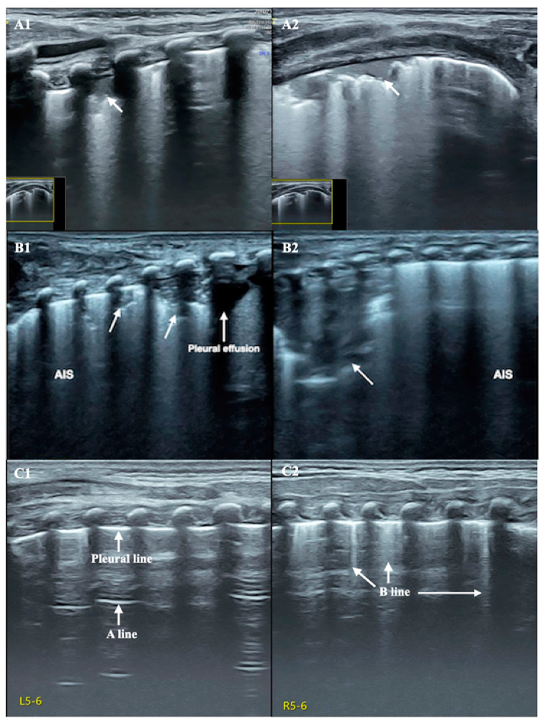 Diagnostics 13 03624 g002