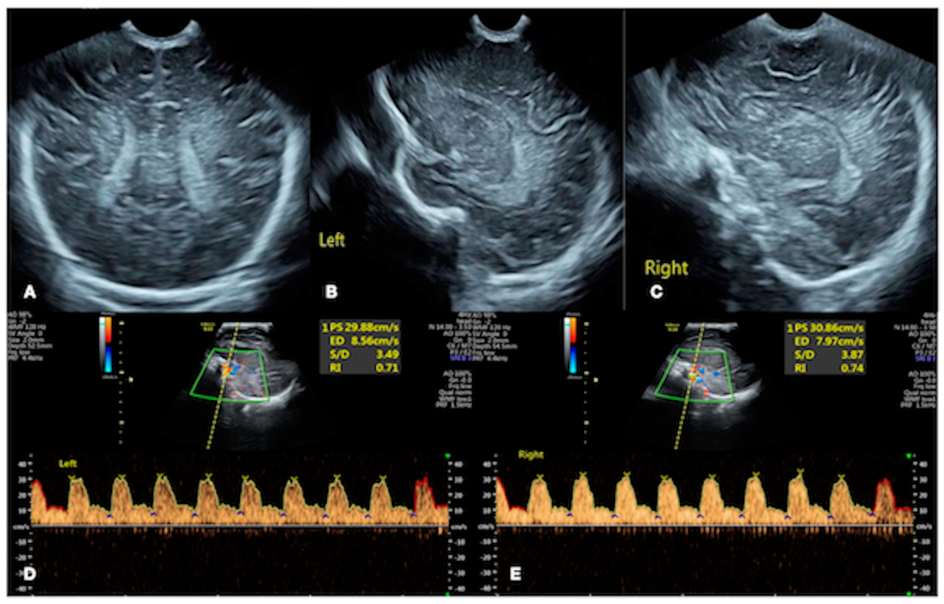 Diagnostics 13 03624 g003