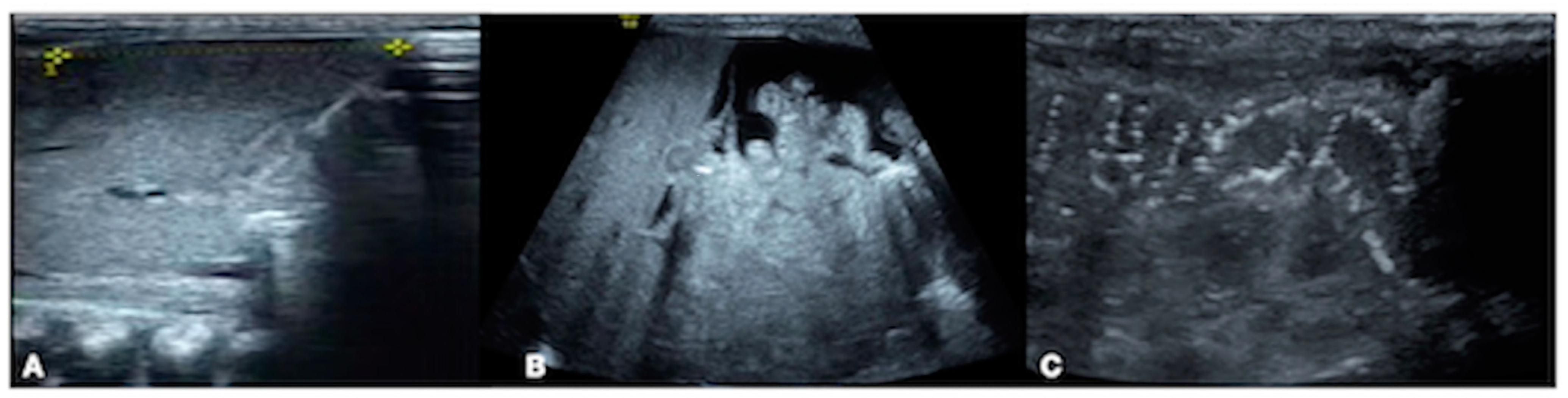 Diagnostics 13 03624 g005