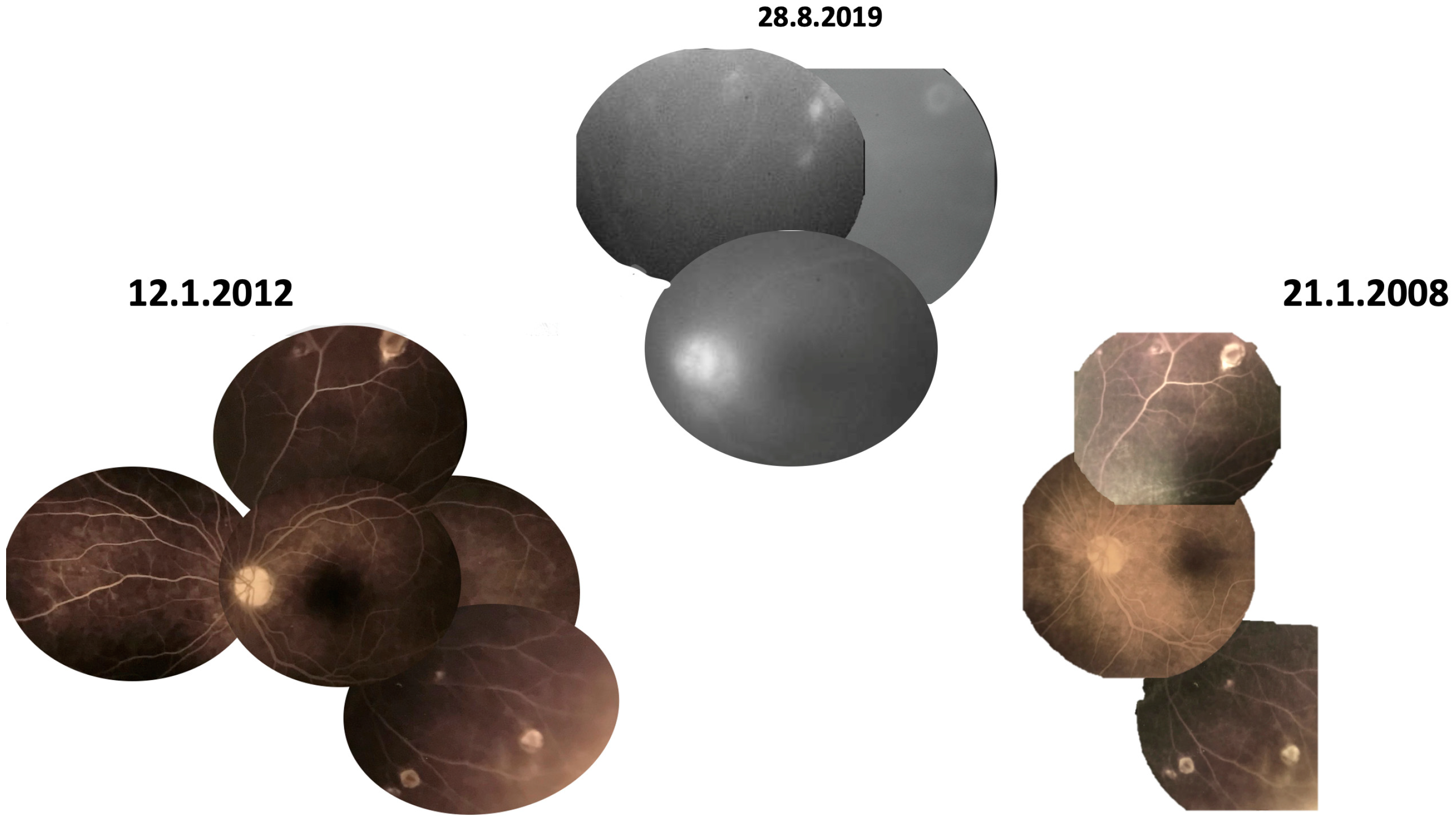 Diagnostics 13 03626 g003