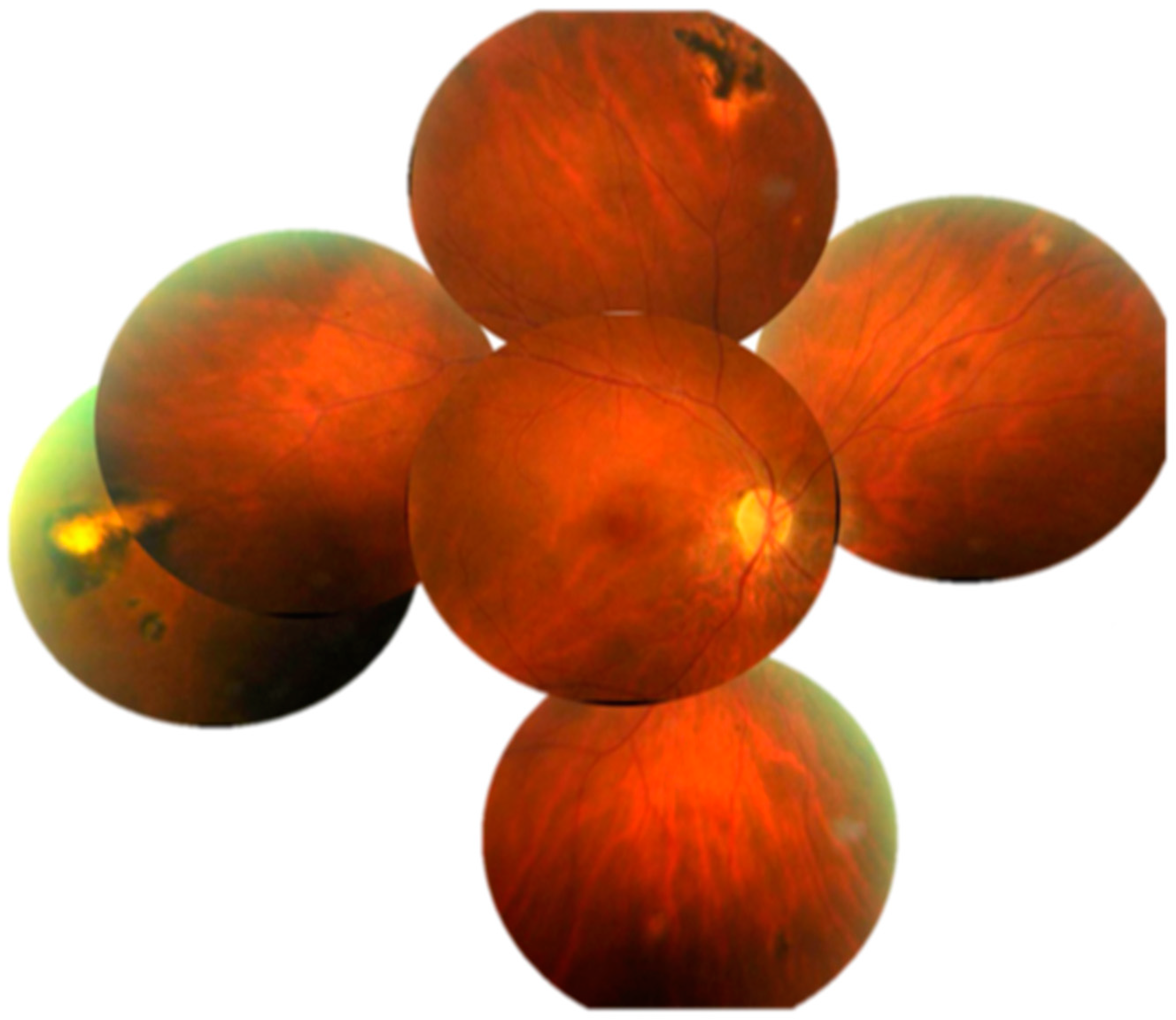 Diagnostics 13 03626 g004