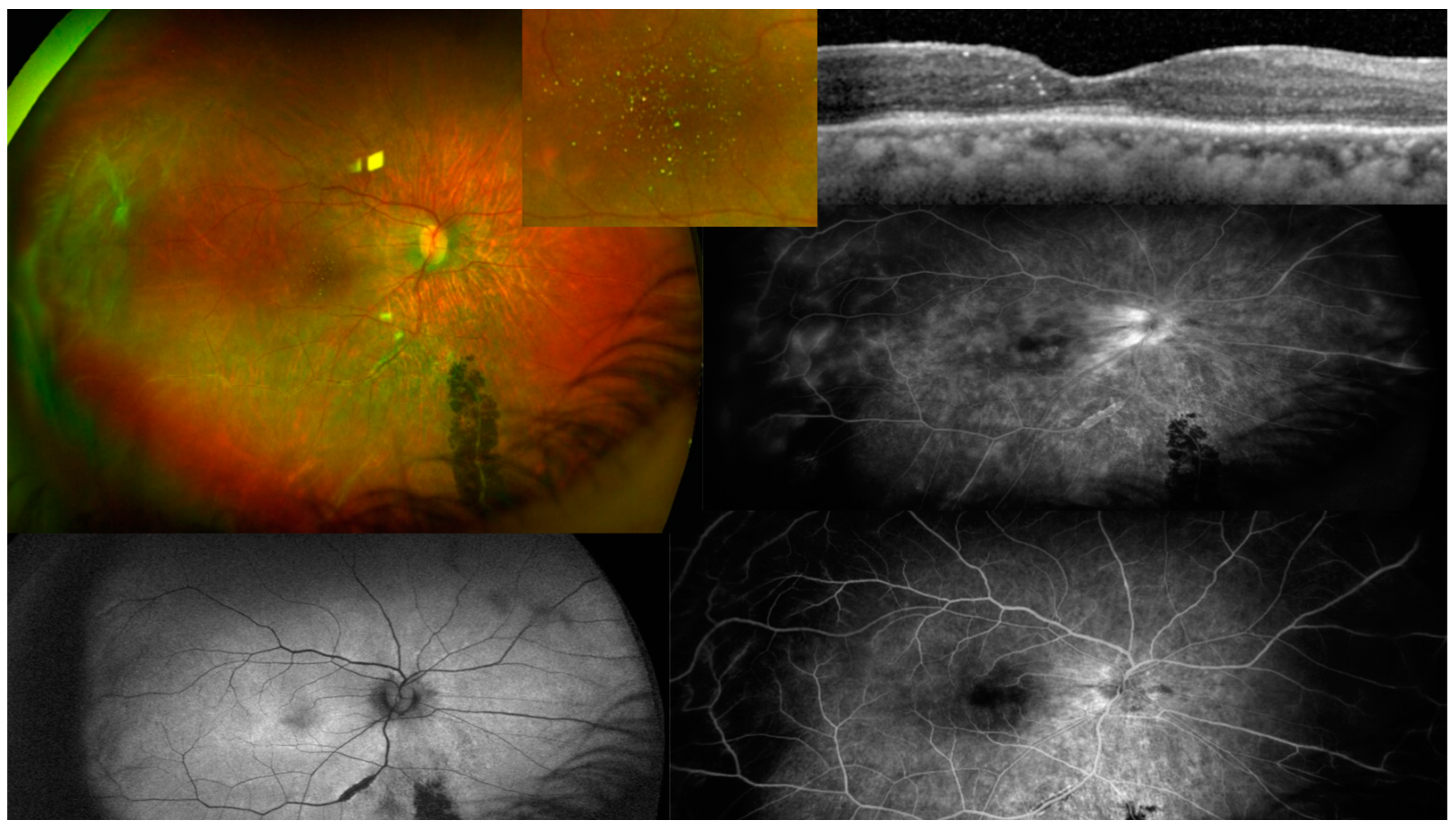 Diagnostics 13 03626 g007