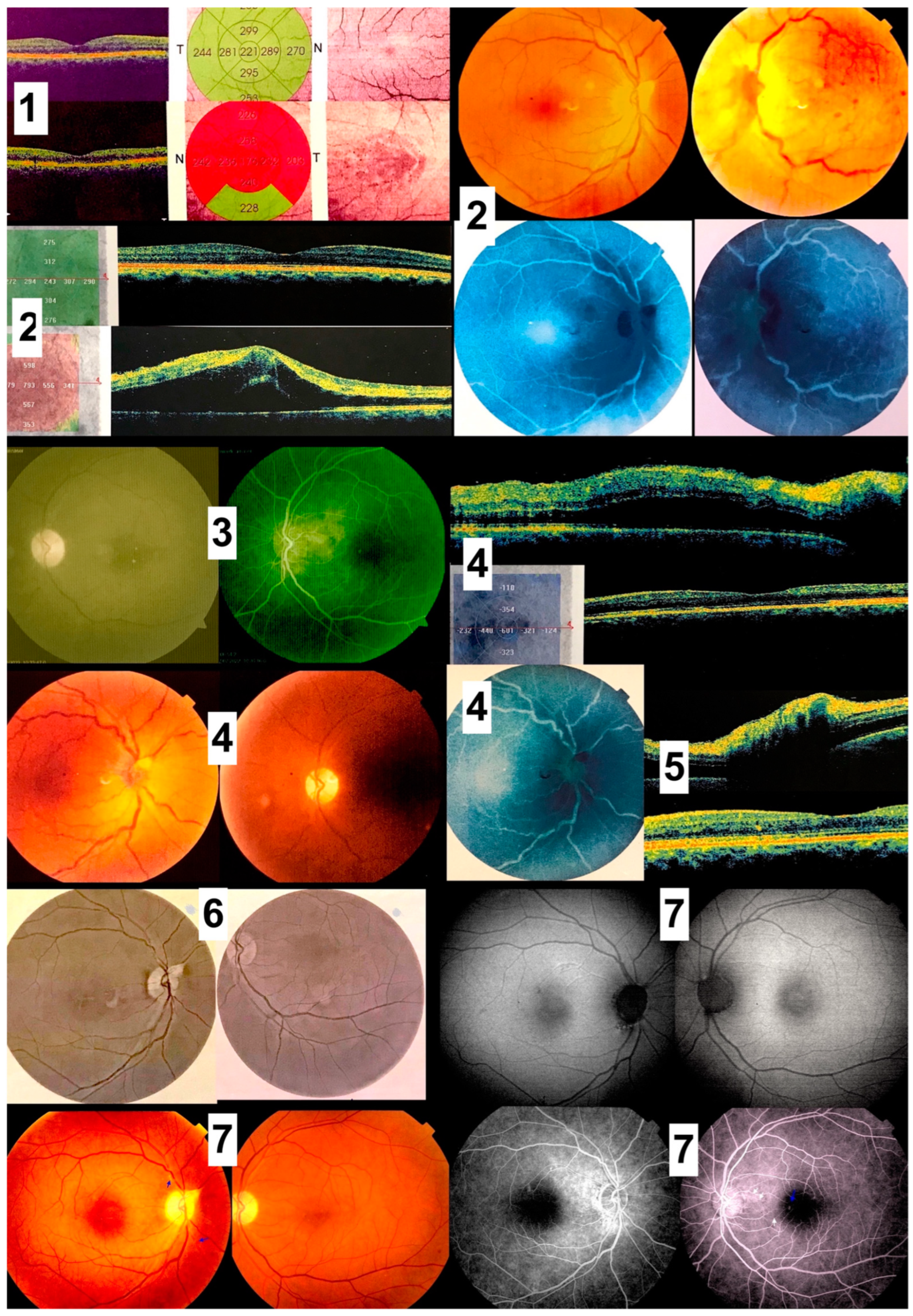 Diagnostics 13 03626 g008