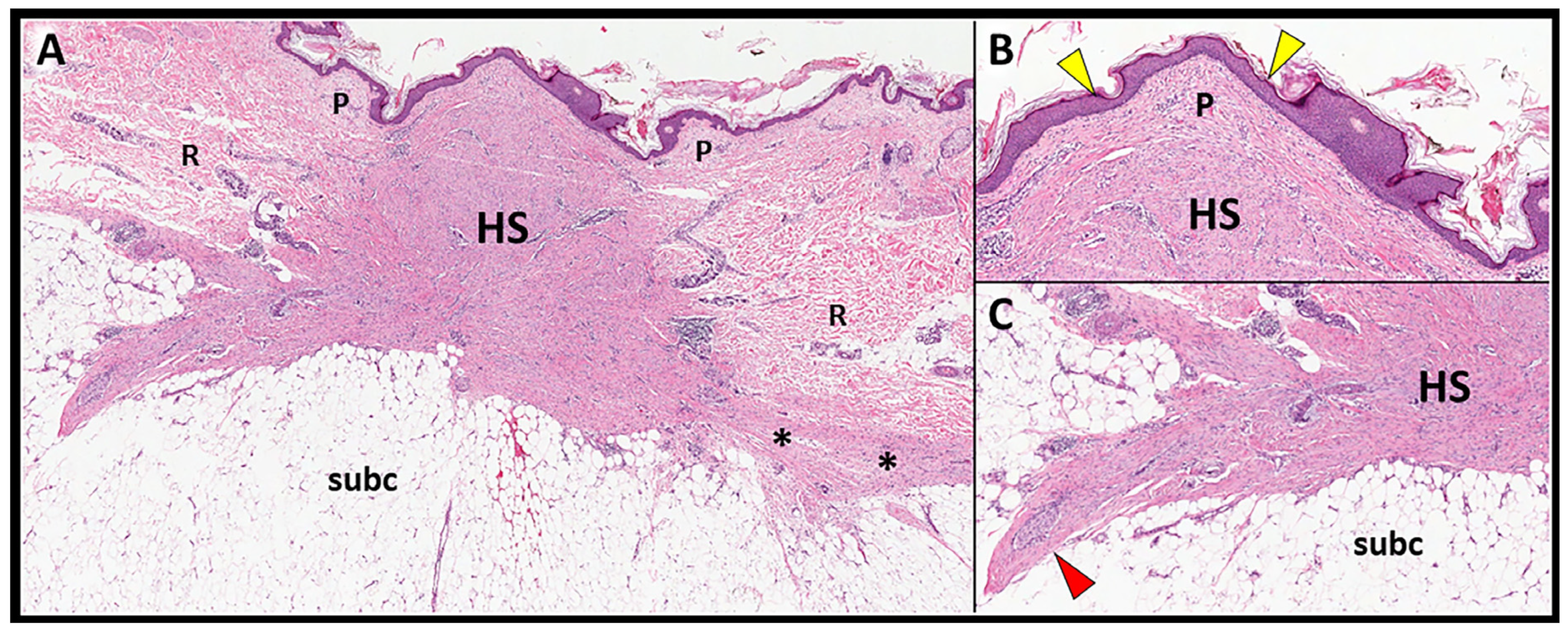 Diagnostics 13 03629 g001