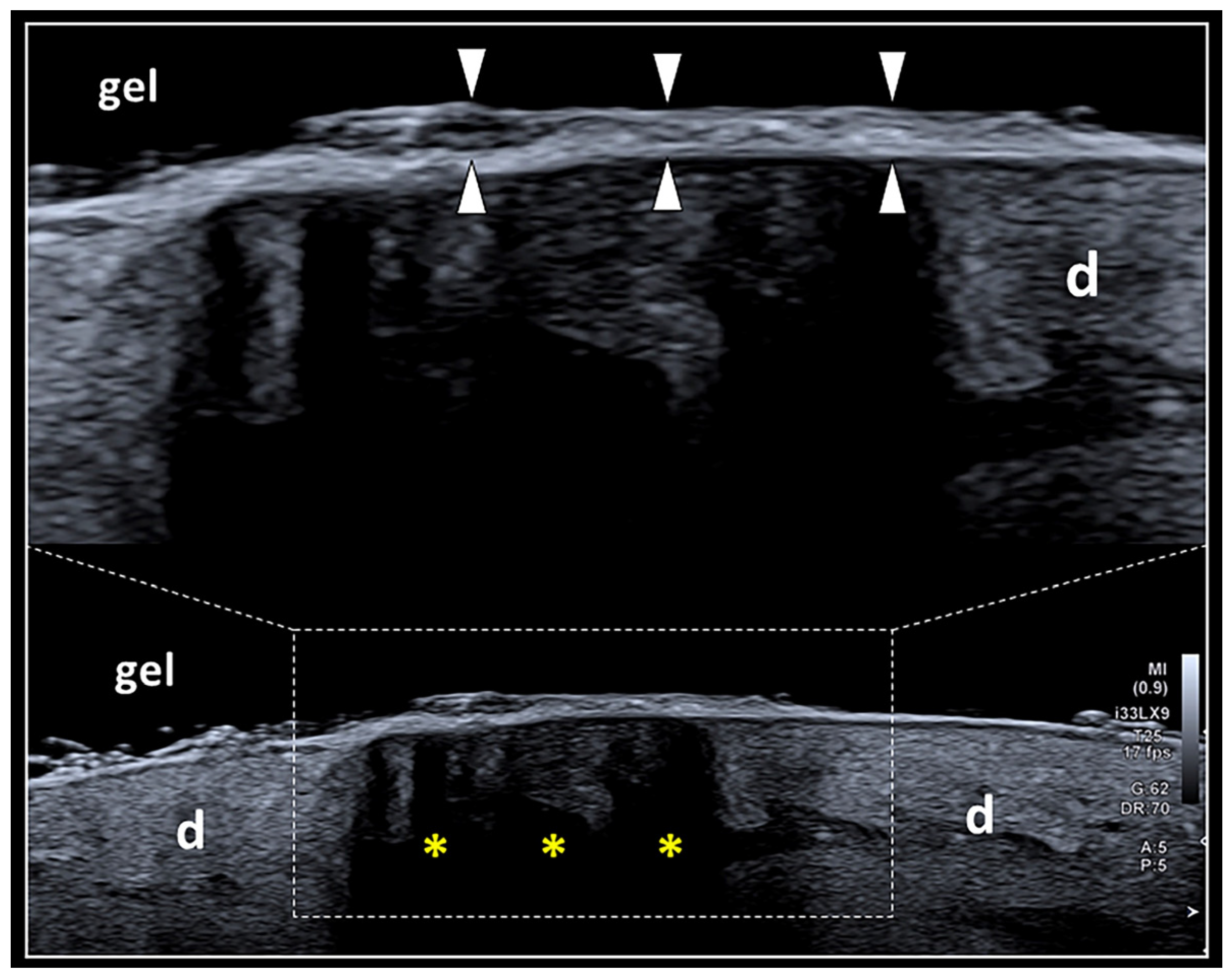 Diagnostics 13 03629 g003