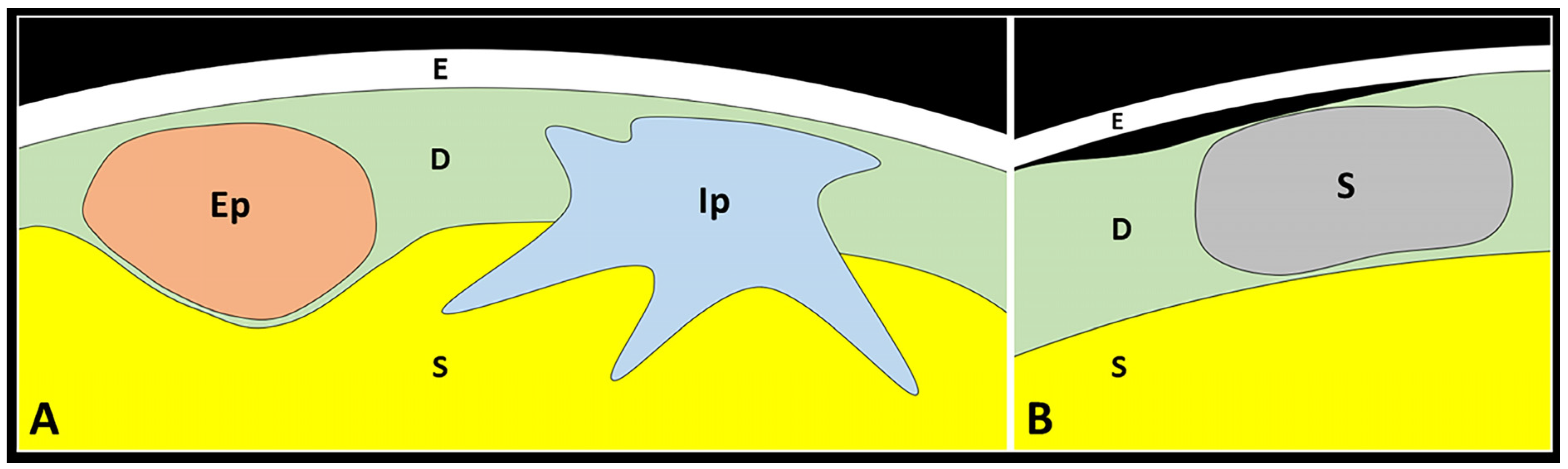 Diagnostics 13 03629 g007