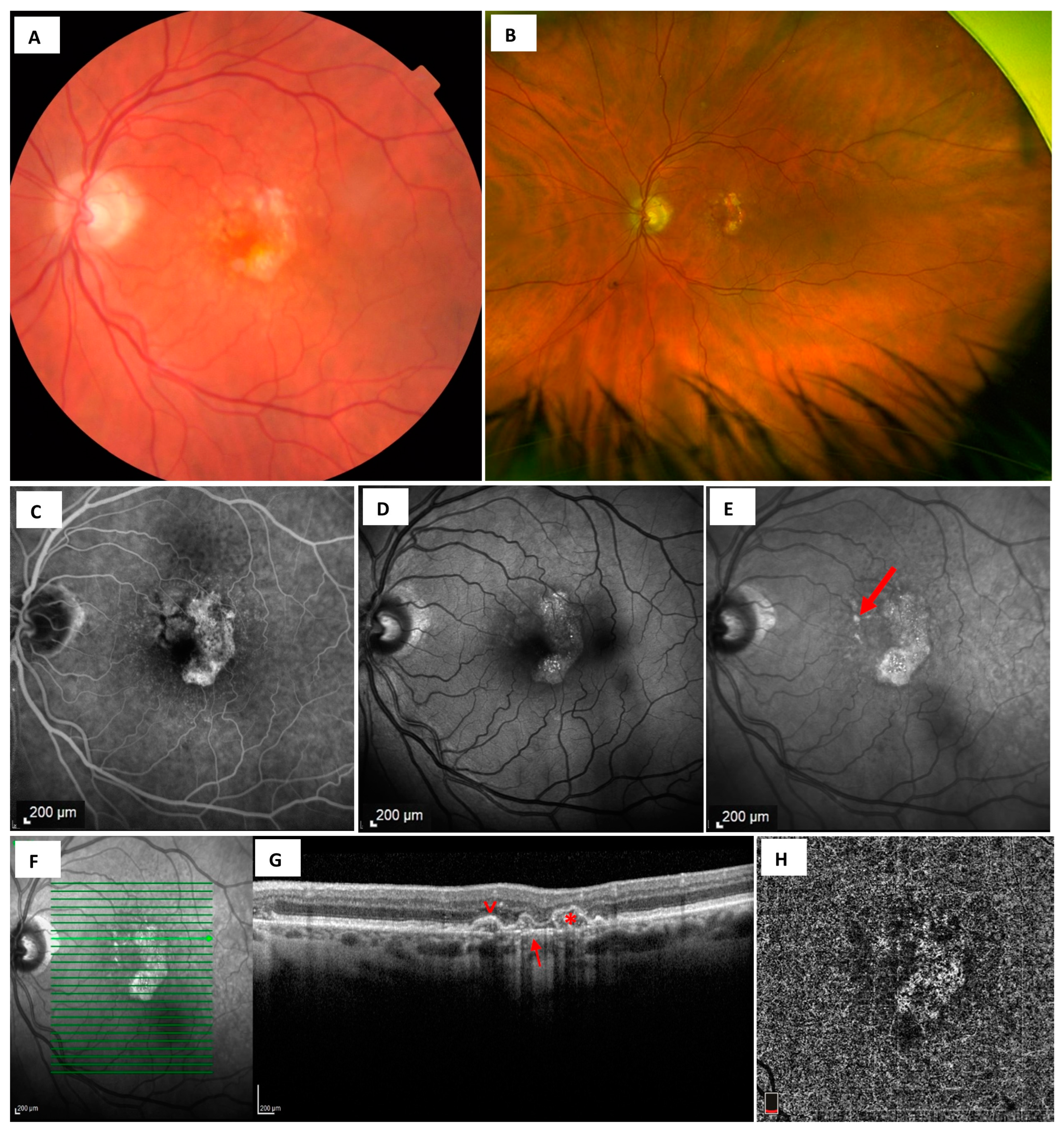 Diagnostics 13 03635 g001