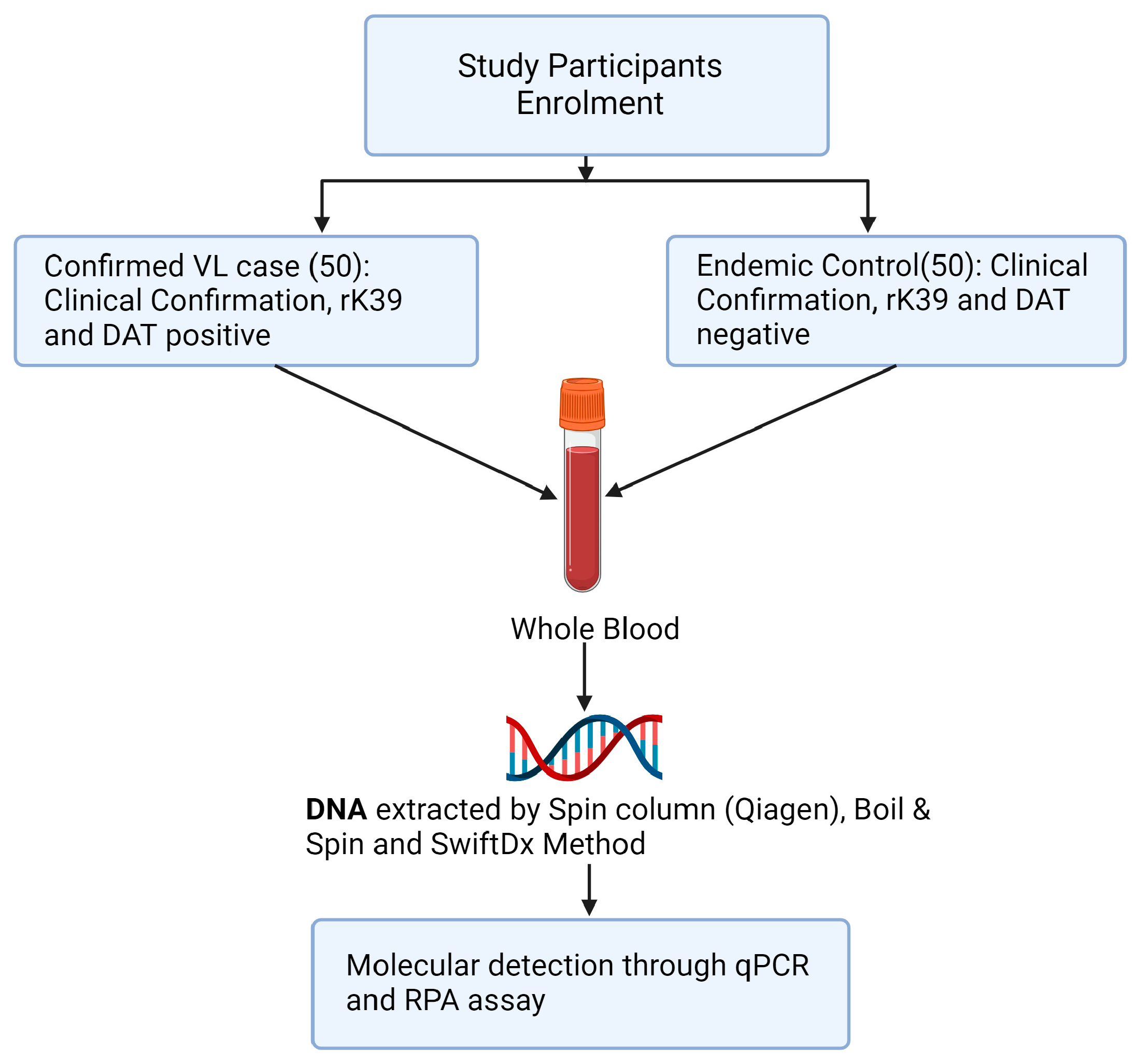 Diagnostics 13 03639 g001
