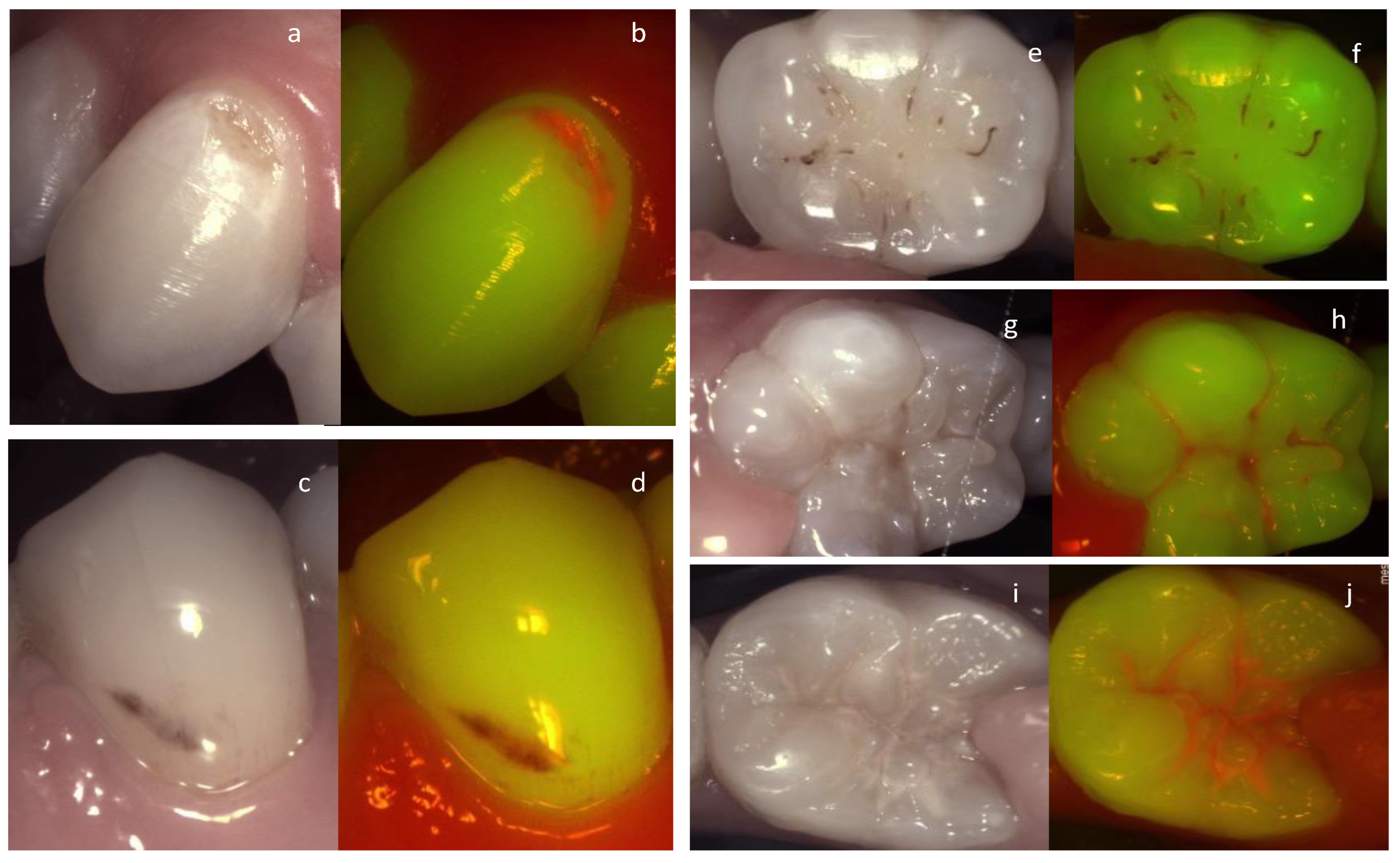 Diagnostics 13 03649 g002
