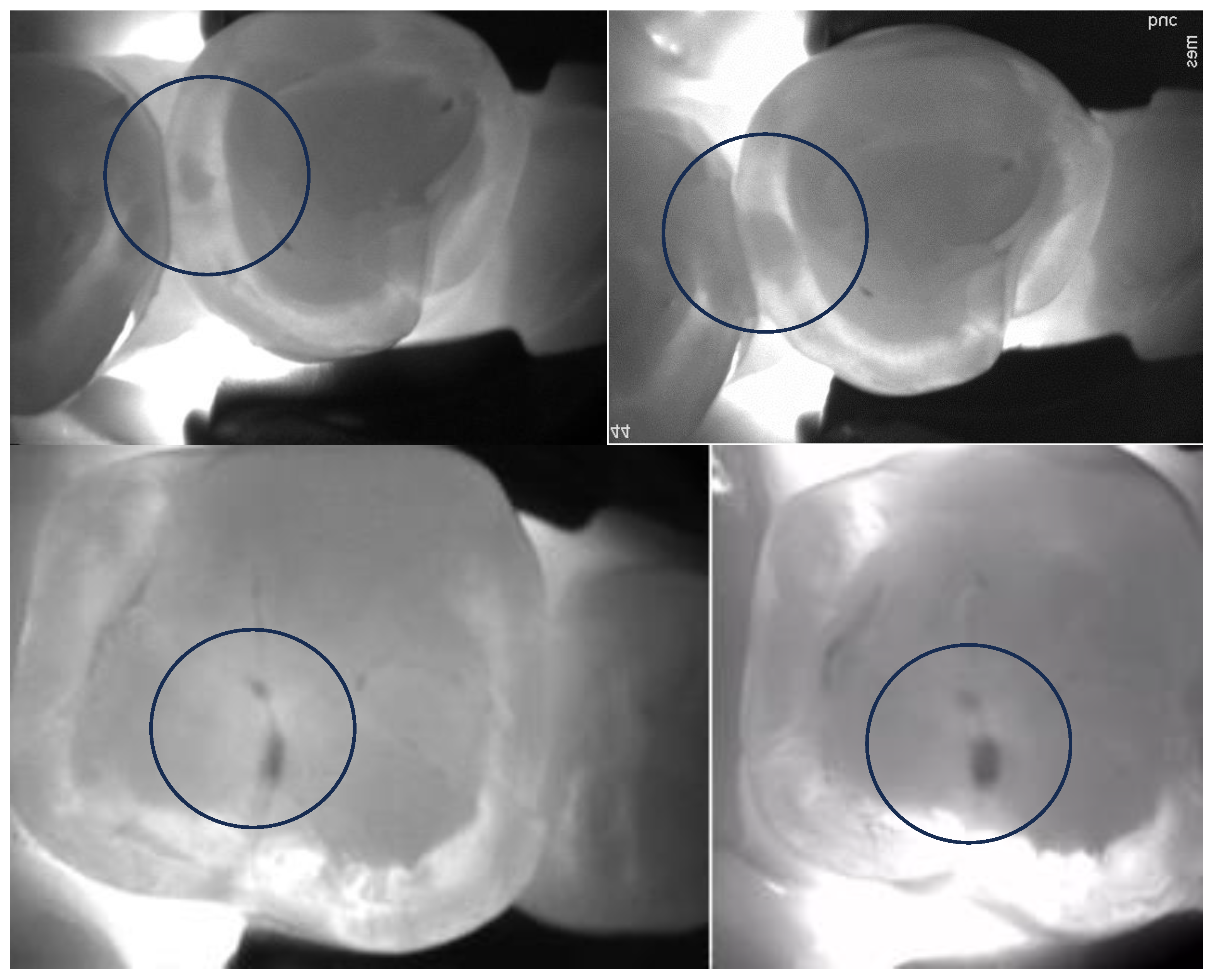 Diagnostics 13 03649 g003