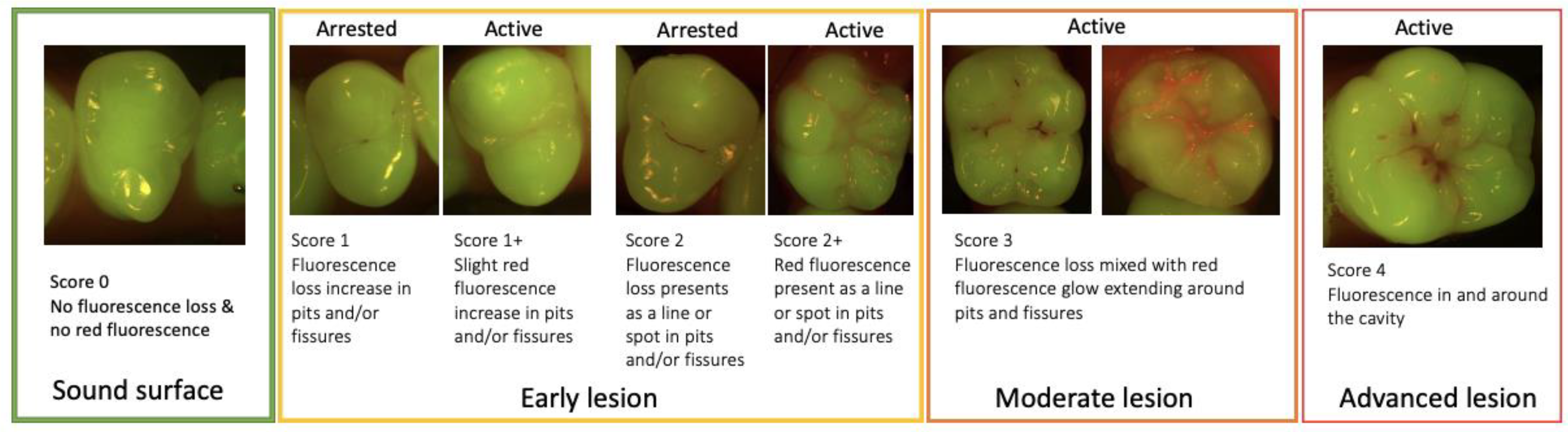 Diagnostics 13 03649 g007