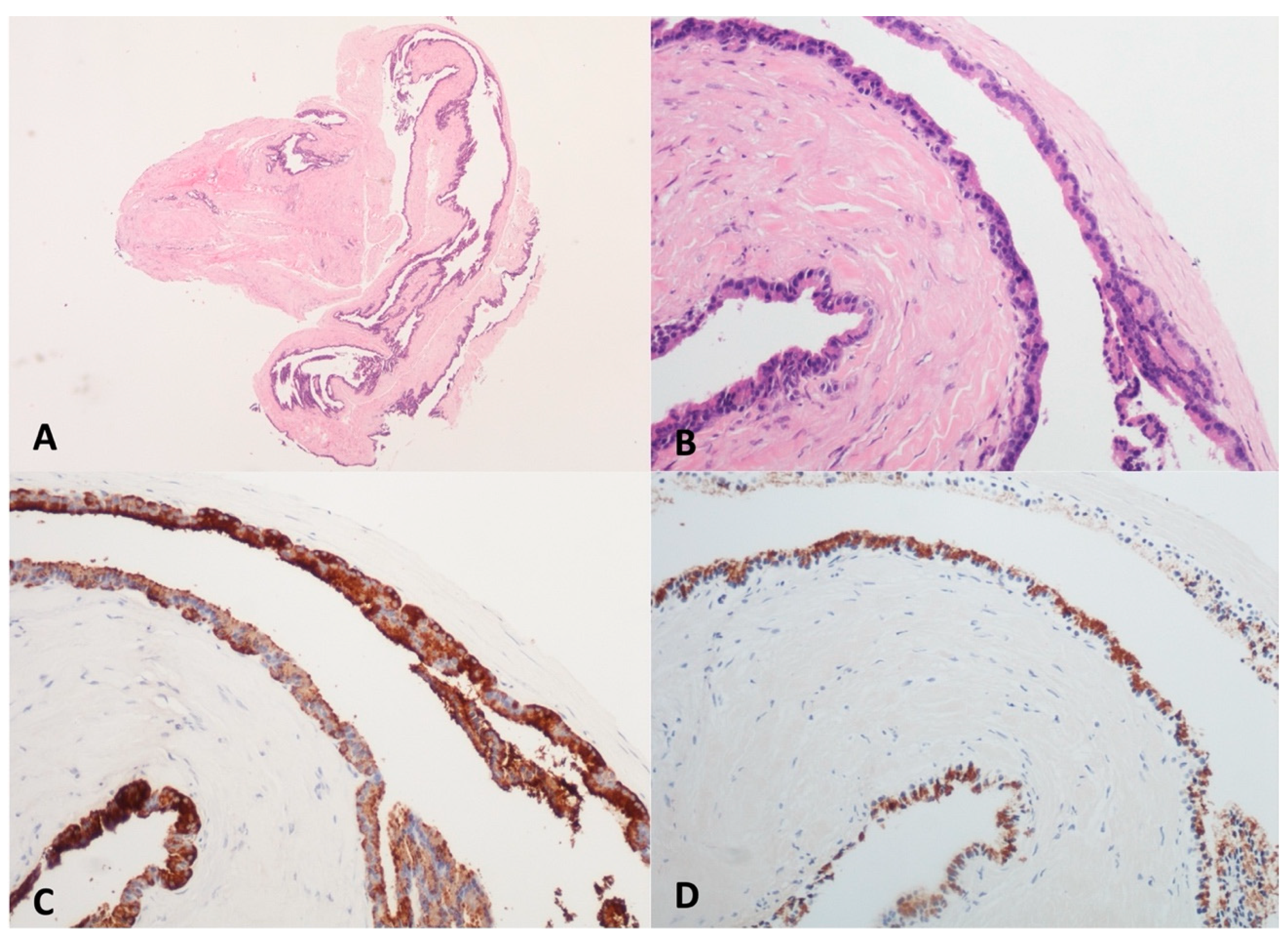 Diagnostics 13 03663 g004