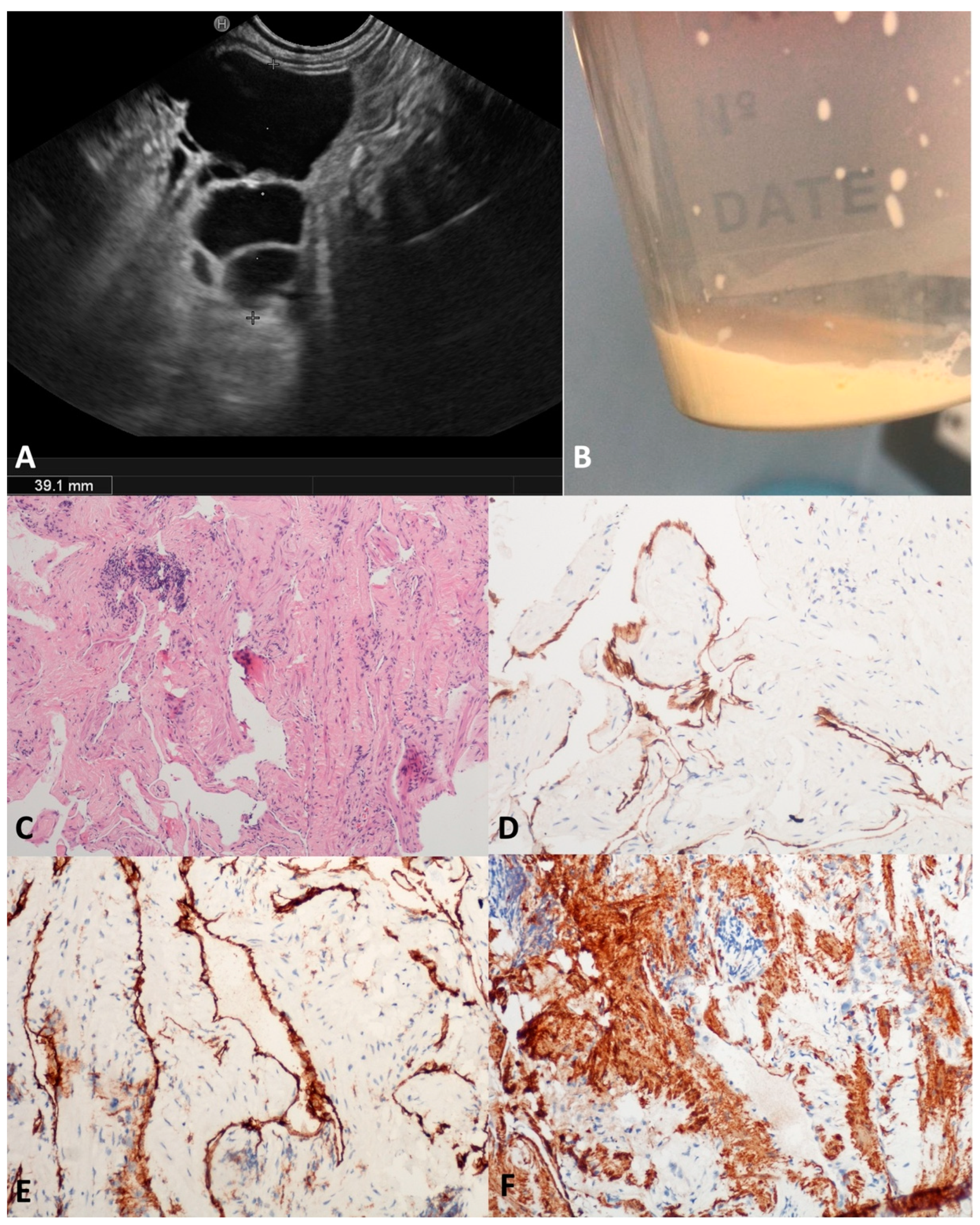 Diagnostics 13 03663 g005