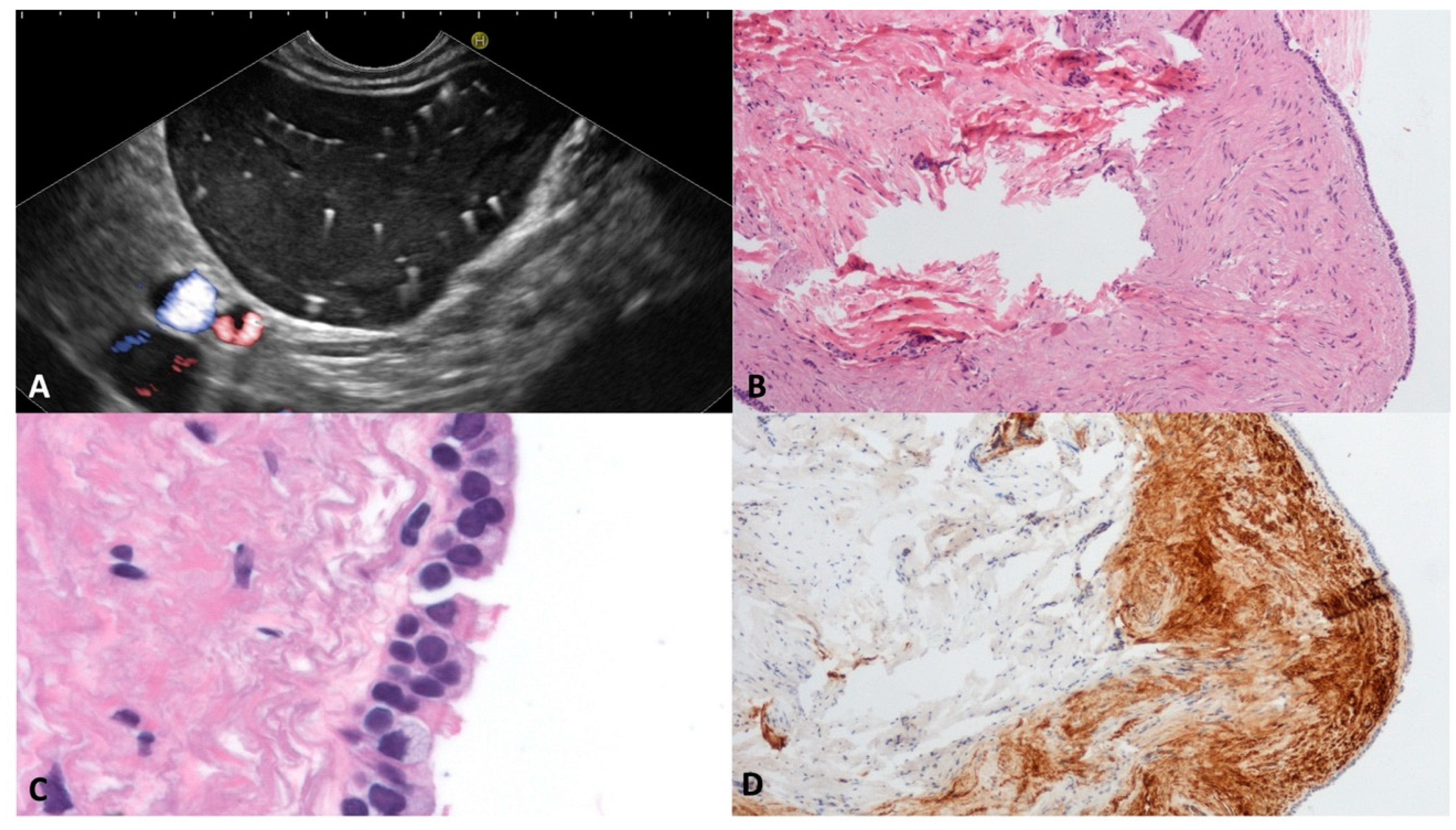 Diagnostics 13 03663 g008