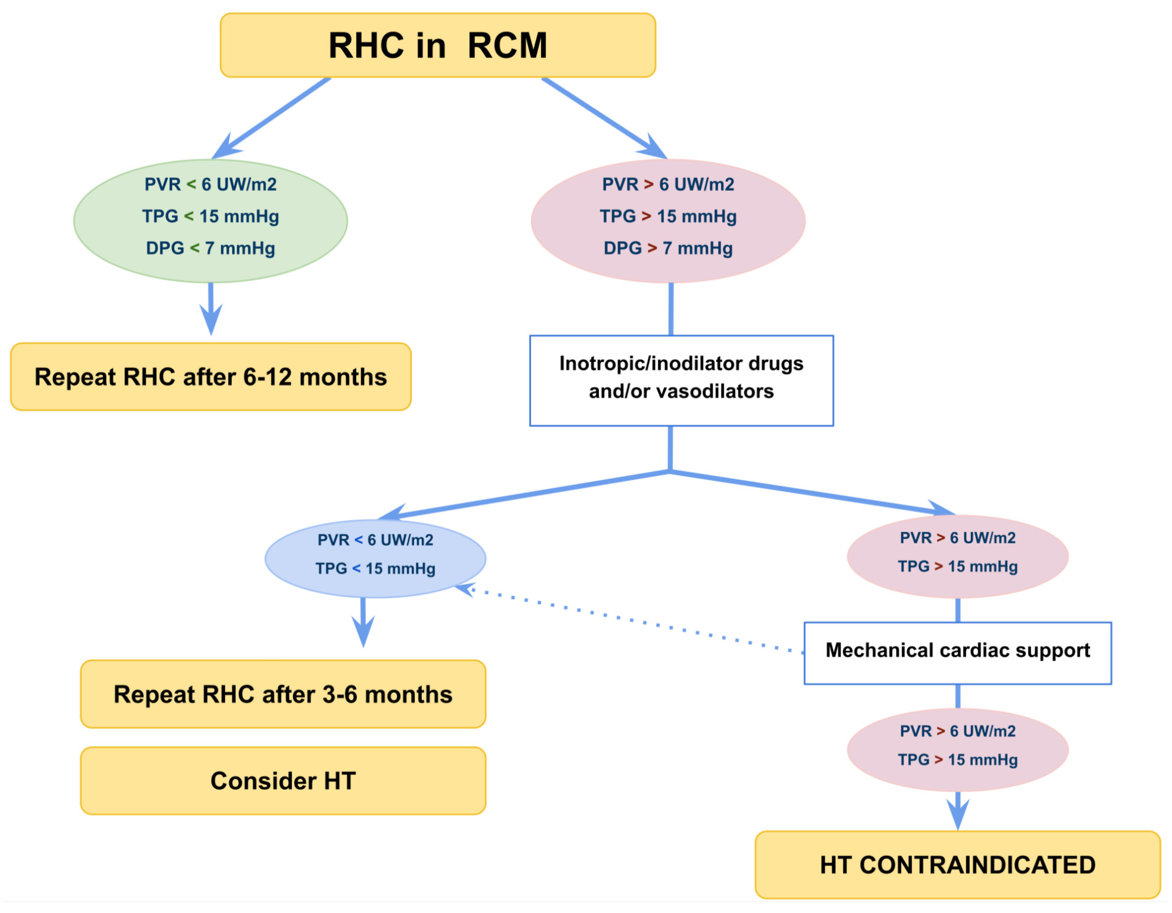 Diagnostics 13 03666 g005 Diagnostics 13 03666 g005