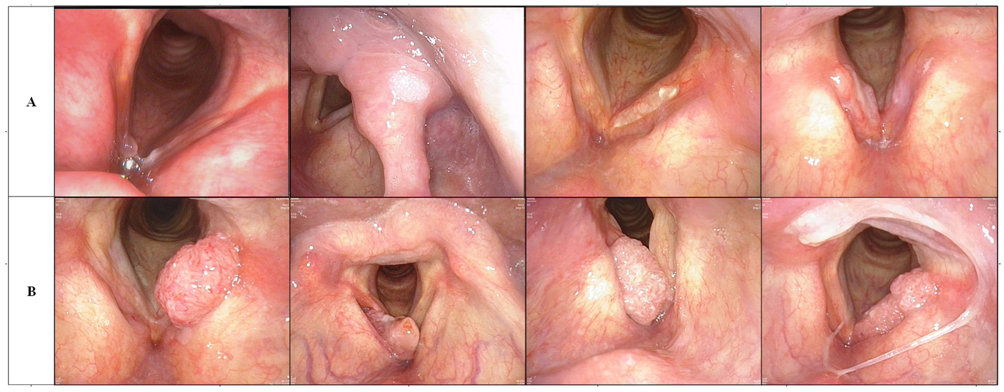 Diagnostics 13 03669 g002