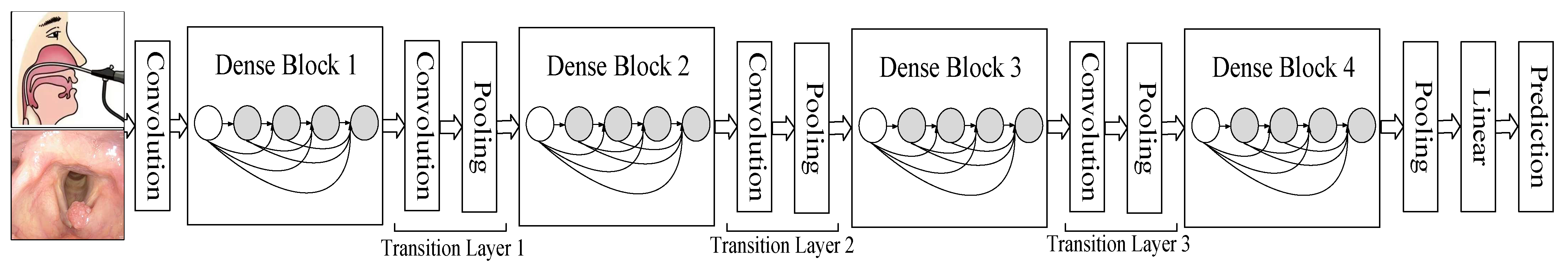 Diagnostics 13 03669 g003