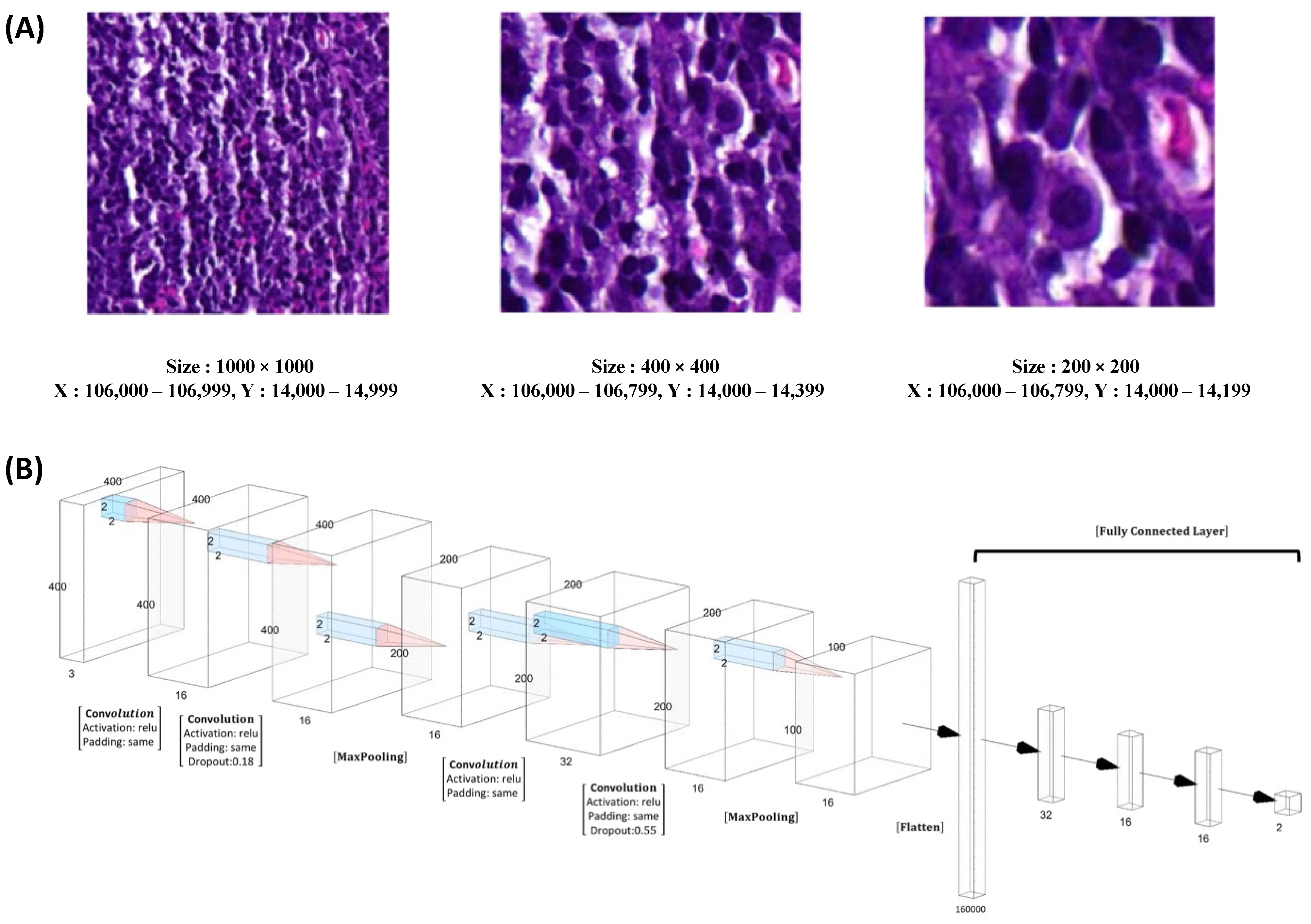 Diagnostics 13 03685 g005