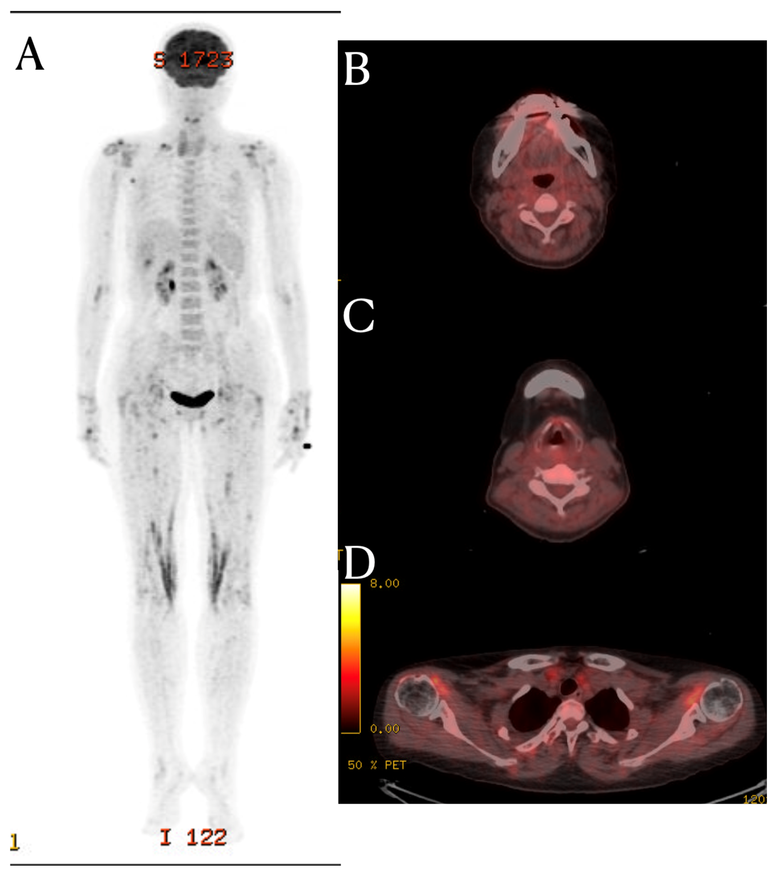 Diagnostics 14 00010 g002
