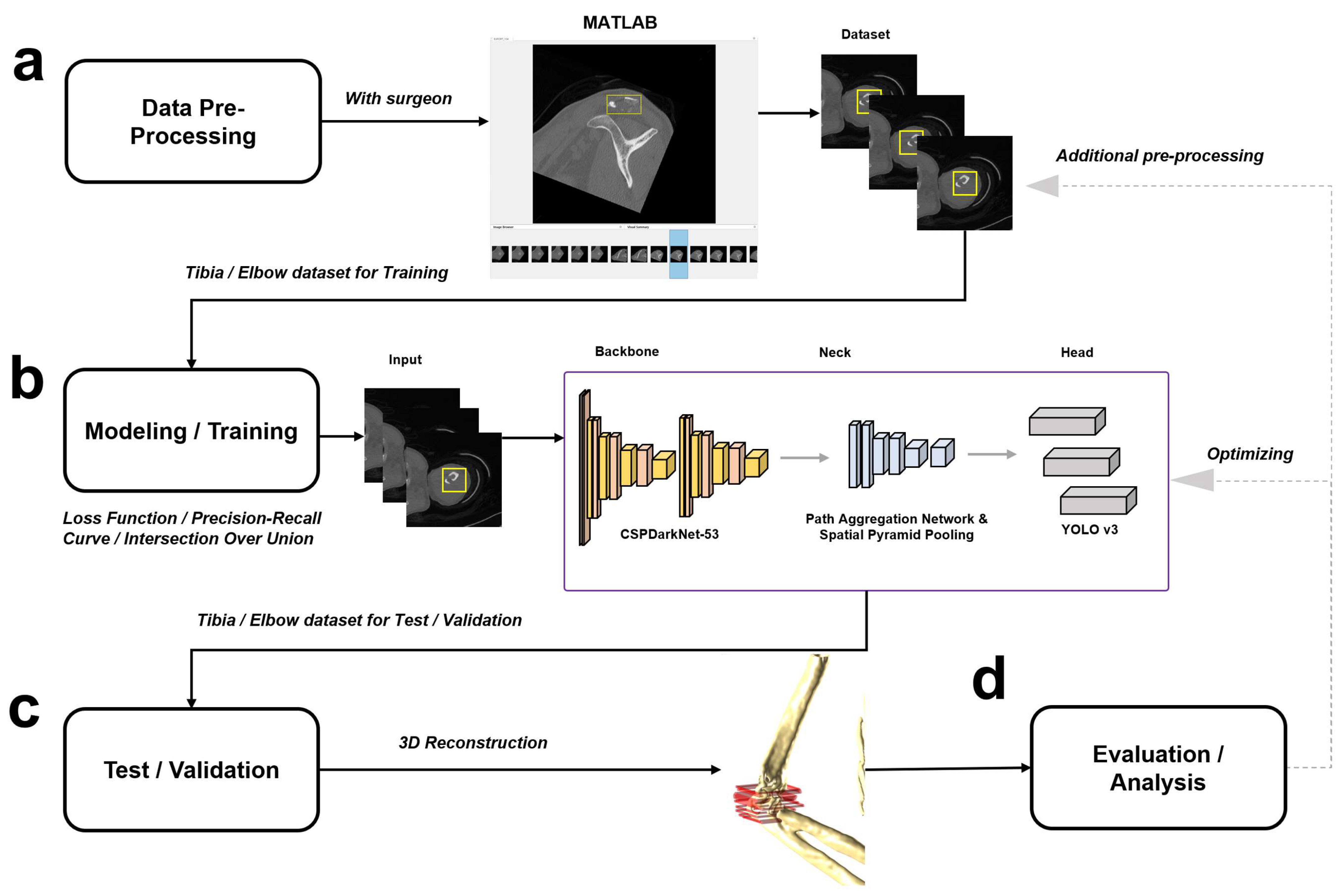 Diagnostics 14 00011 g001