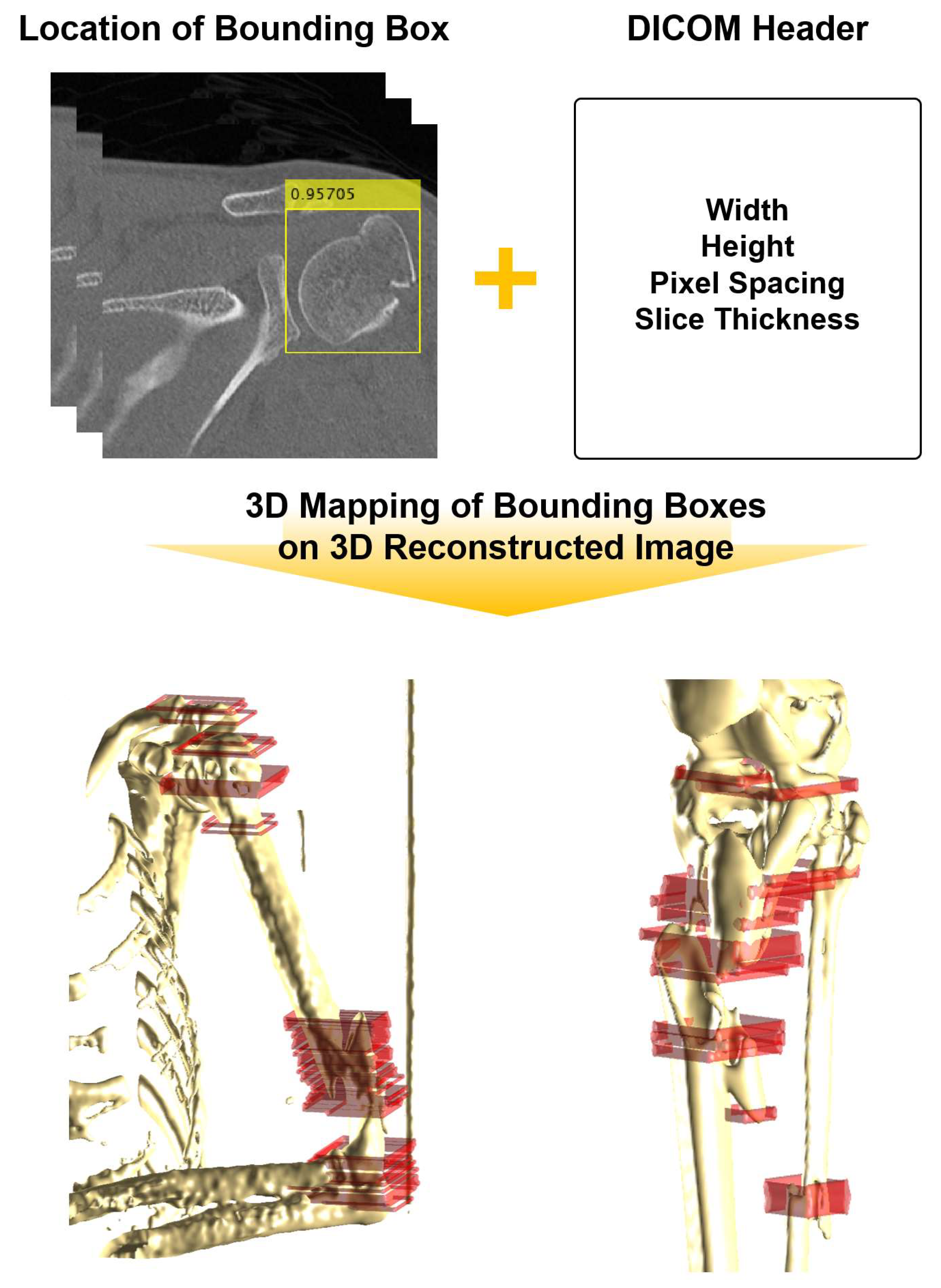 Diagnostics 14 00011 g004