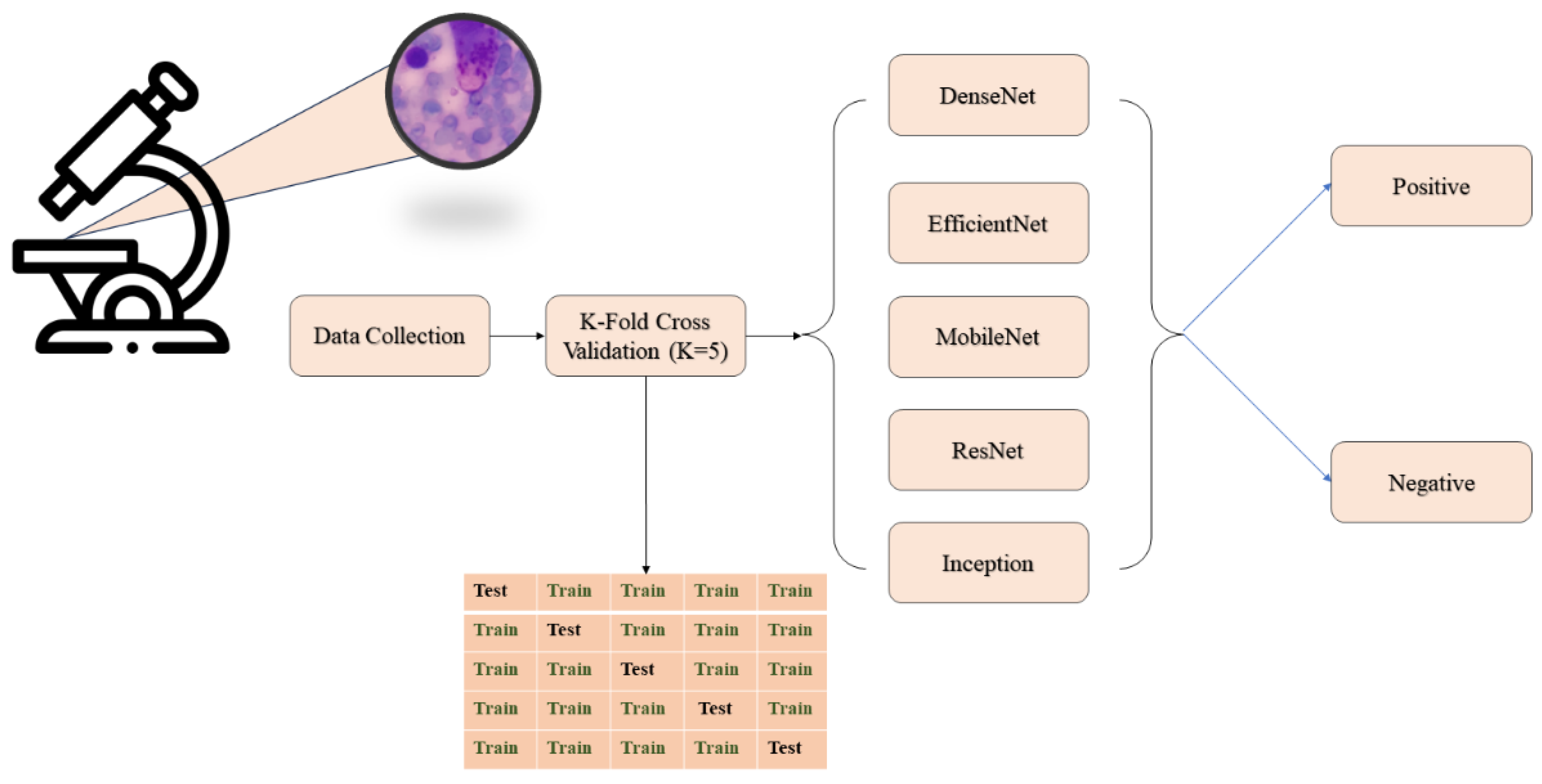 Diagnostics 14 00012 g001 Diagnostics 14 00012 g001