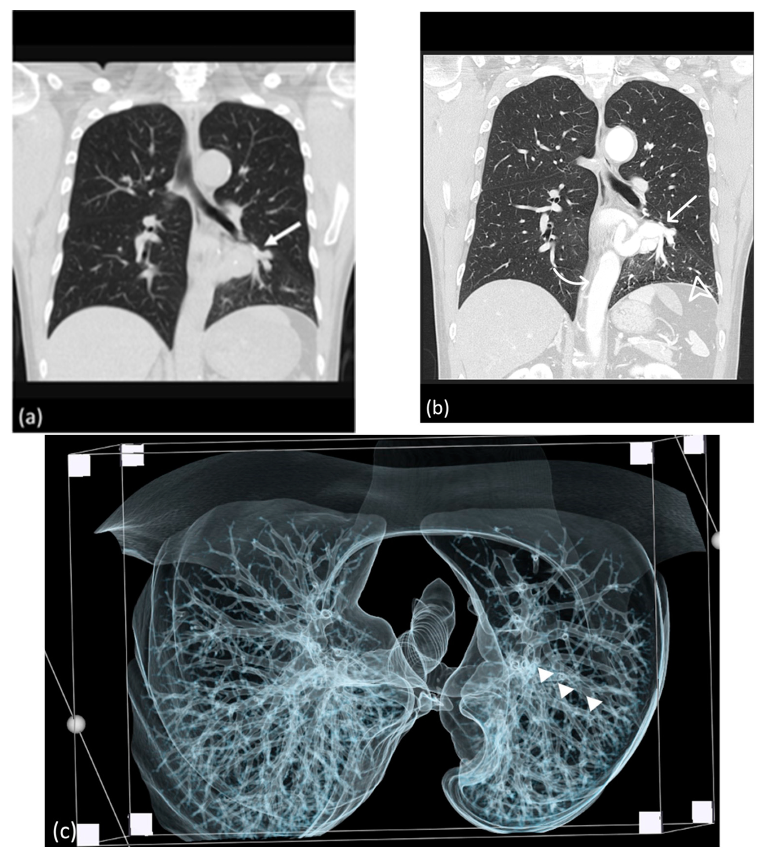 Diagnostics 14 00032 g002