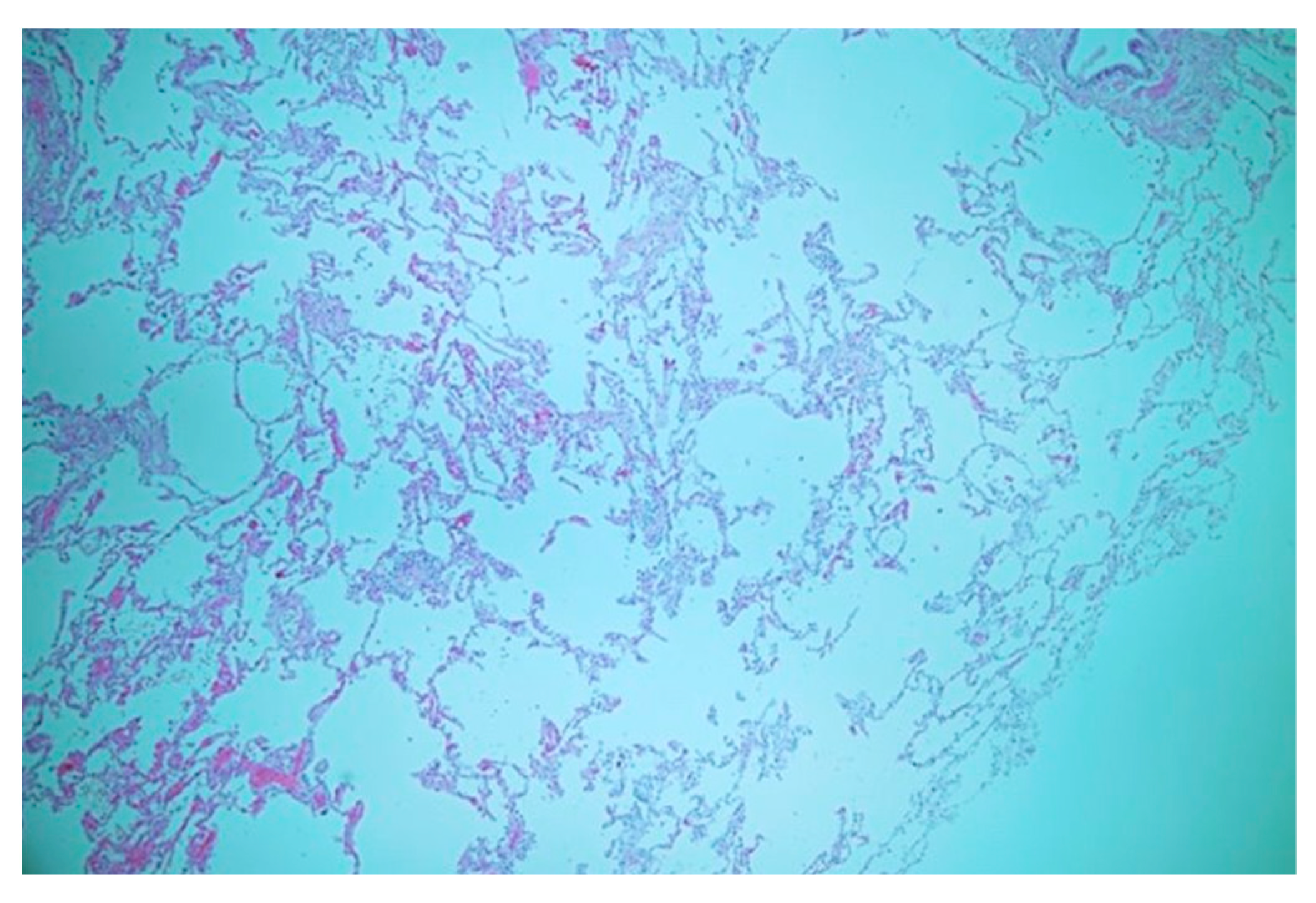 Diagnostics 14 00032 g004