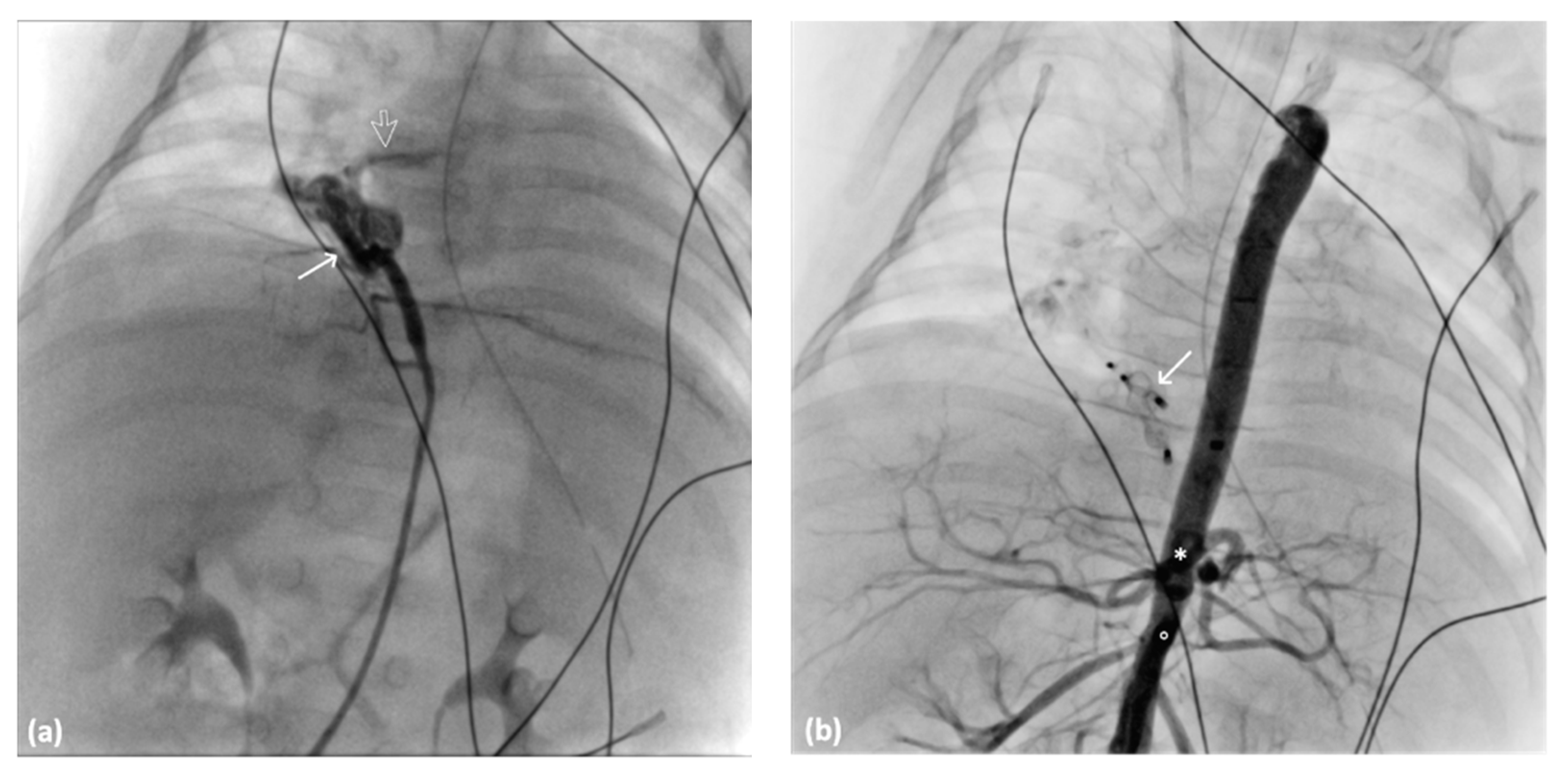 Diagnostics 14 00032 g006