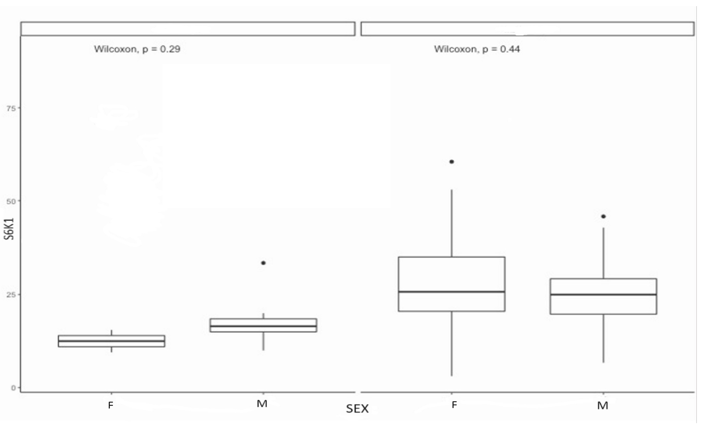 Diagnostics 14 00038 g005 Diagnostics 14 00038 g005
