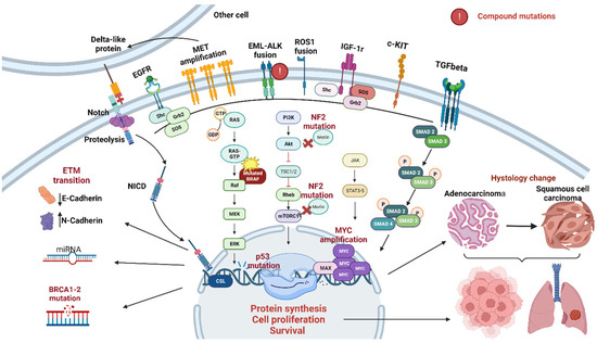 Diagnostics 14 00048 g003