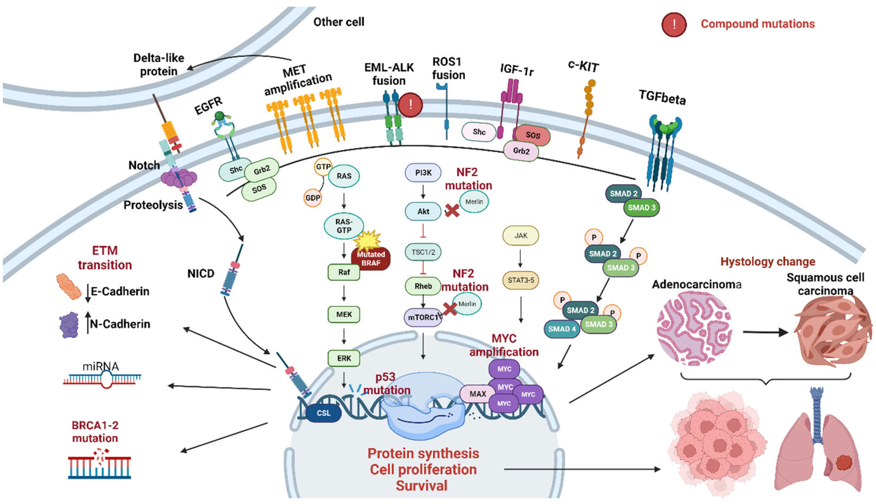 Diagnostics 14 00048 g003