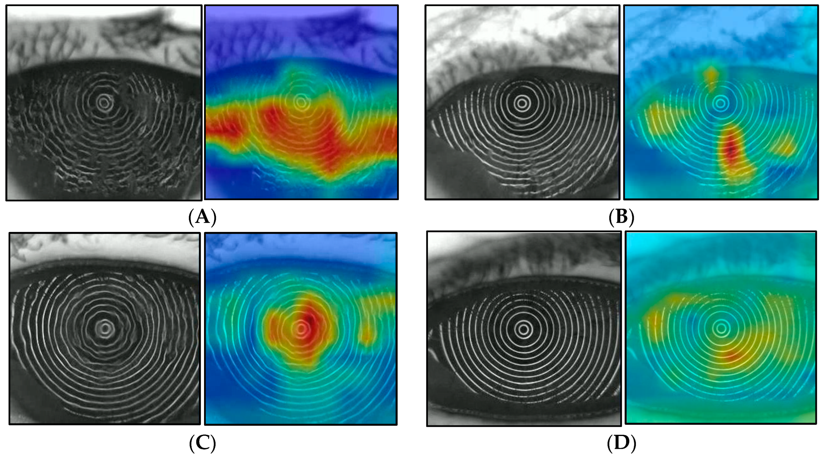 Diagnostics 14 00052 g007