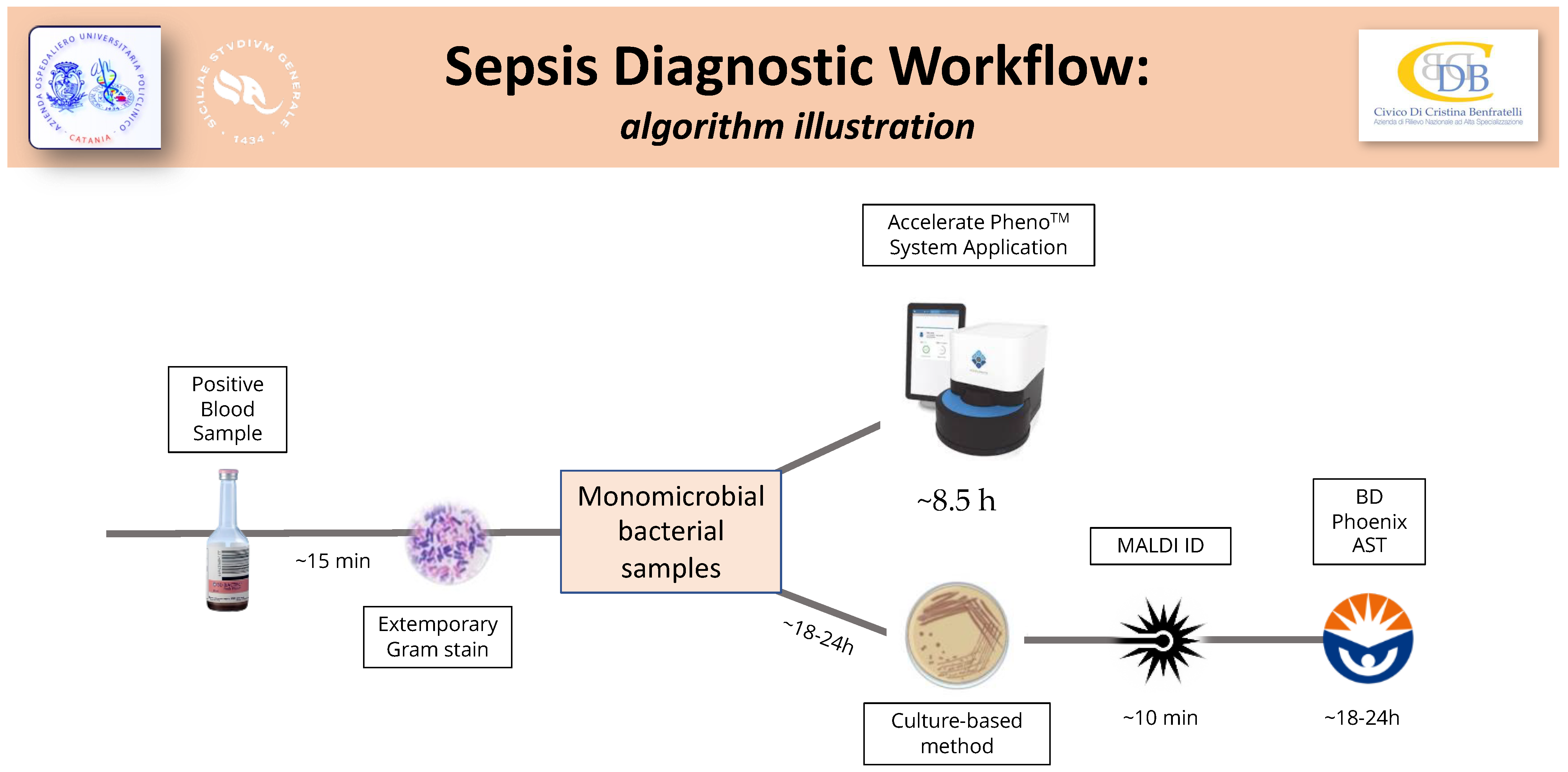 Diagnostics 14 00056 g002 Diagnostics 14 00056 g002