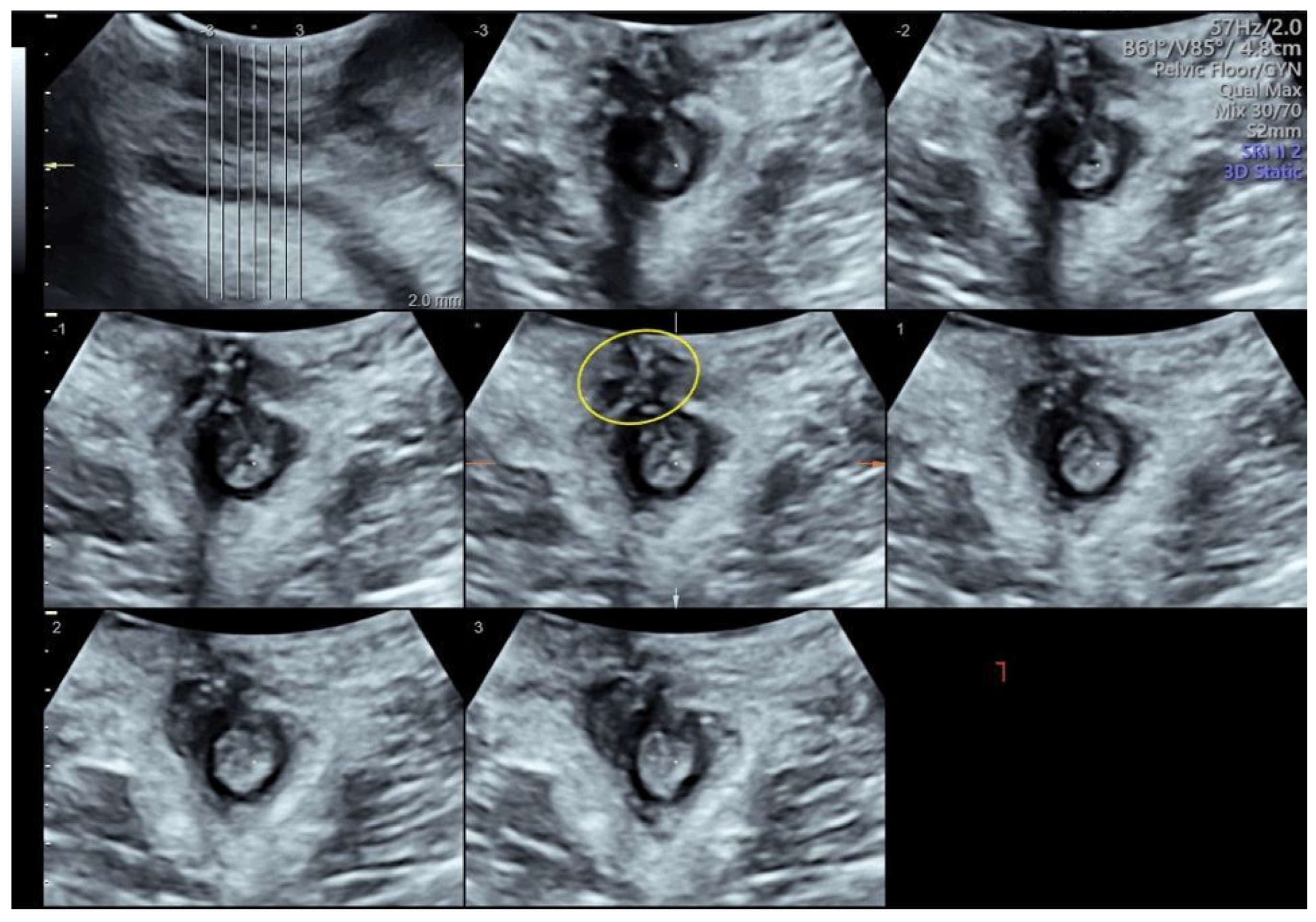 Diagnostics 14 00068 g002