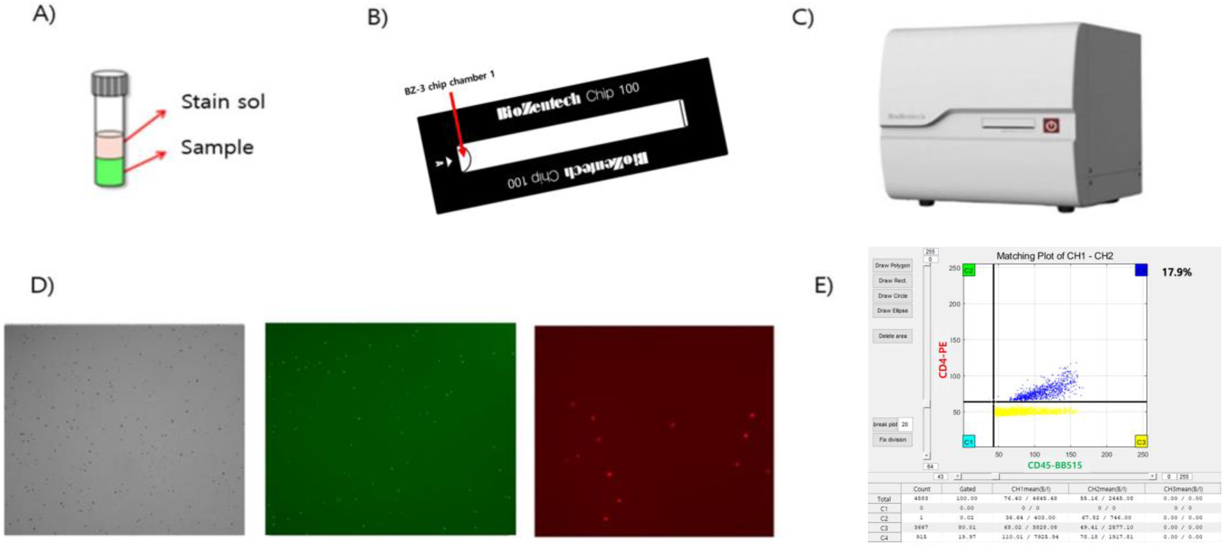 Diagnostics 14 00073 g001