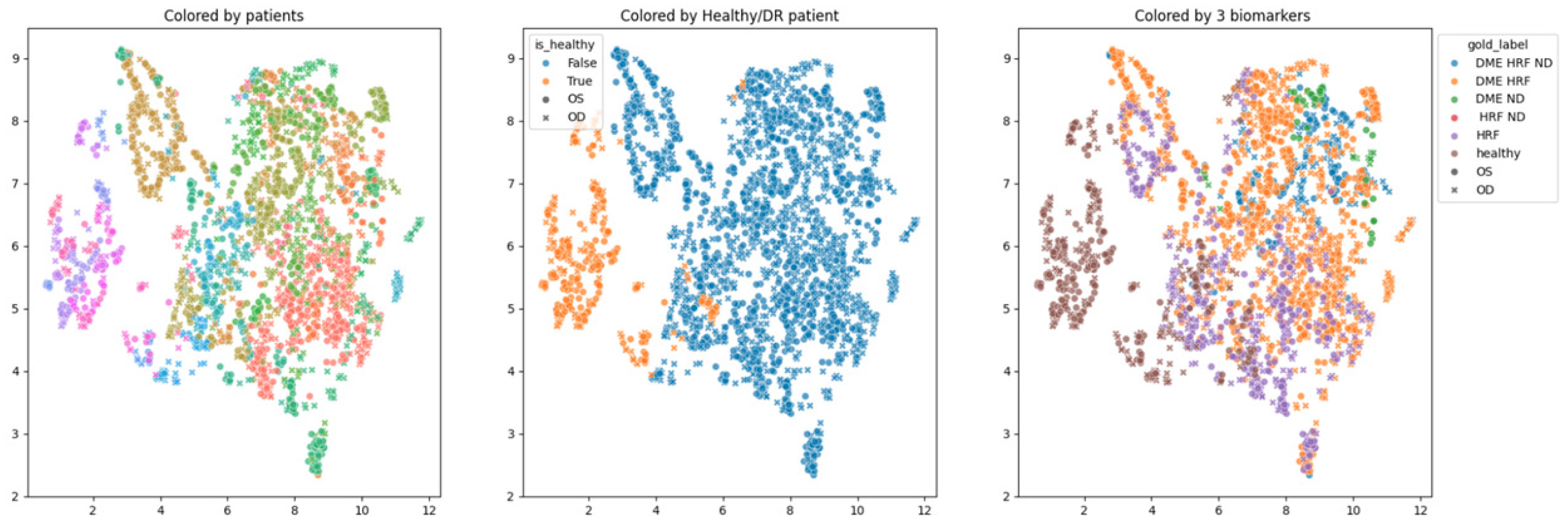 Diagnostics 14 00076 g007