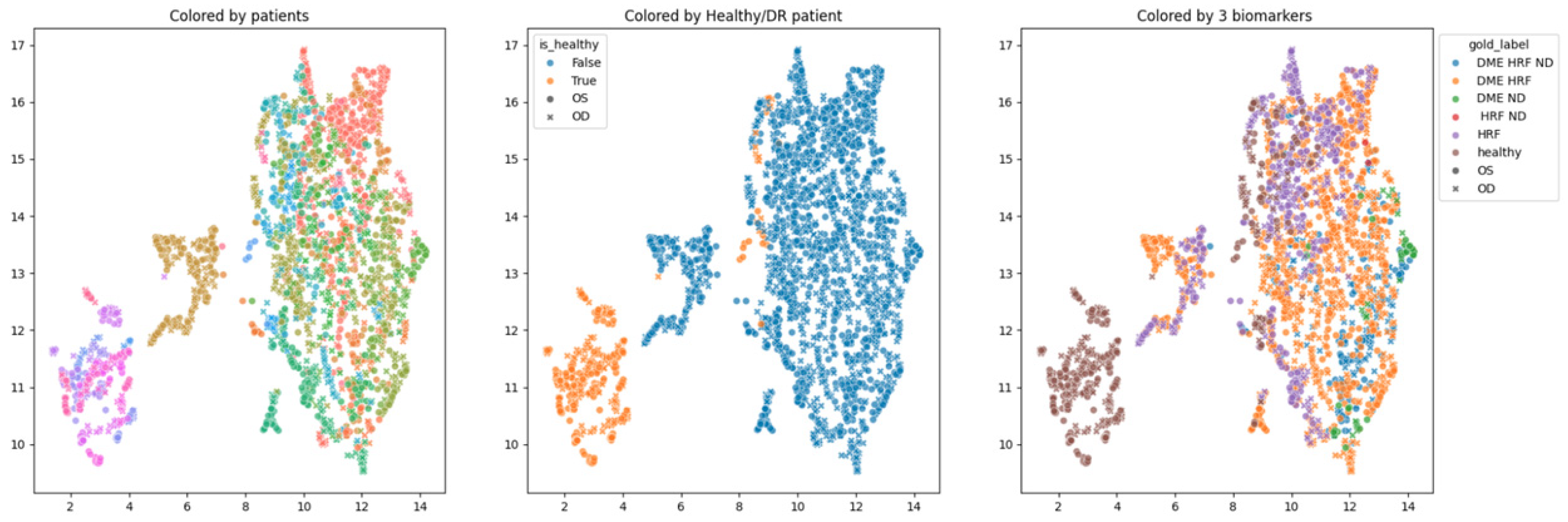 Diagnostics 14 00076 g008