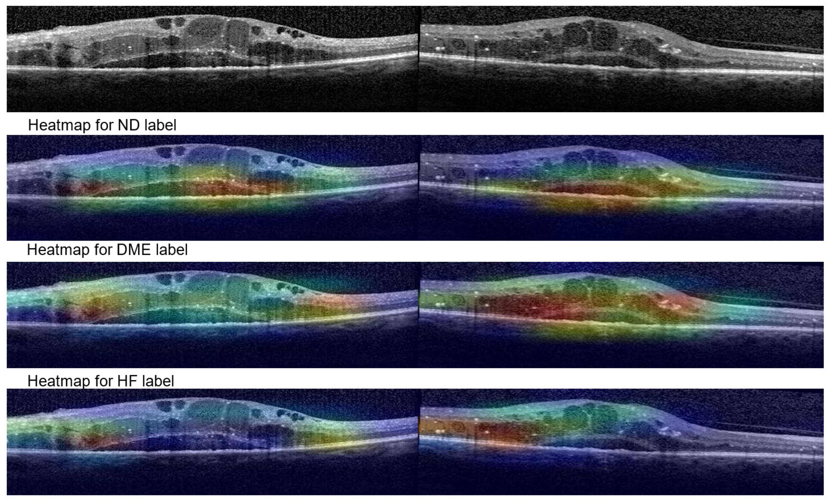 Diagnostics 14 00076 g015