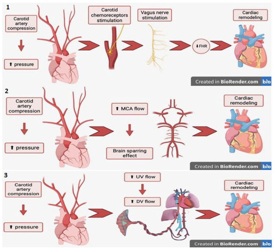 Diagnostics 14 00077 g013