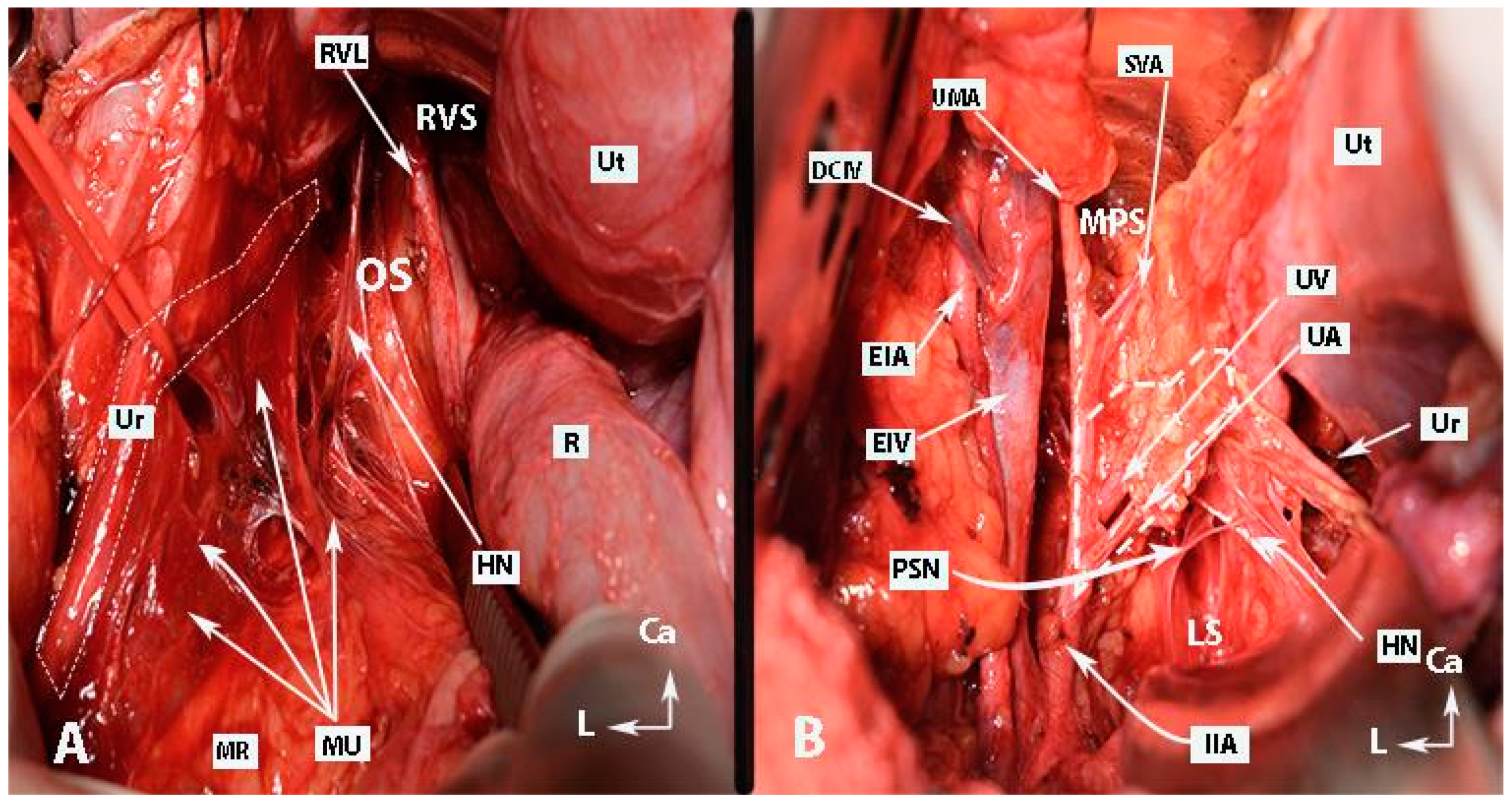 Diagnostics 14 00083 g005