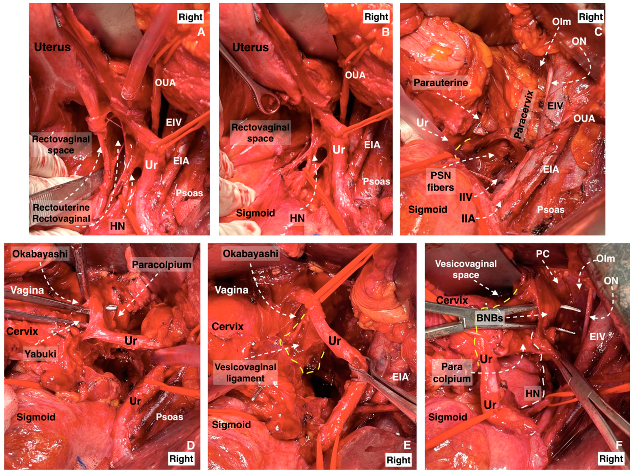 Diagnostics 14 00083 g018
