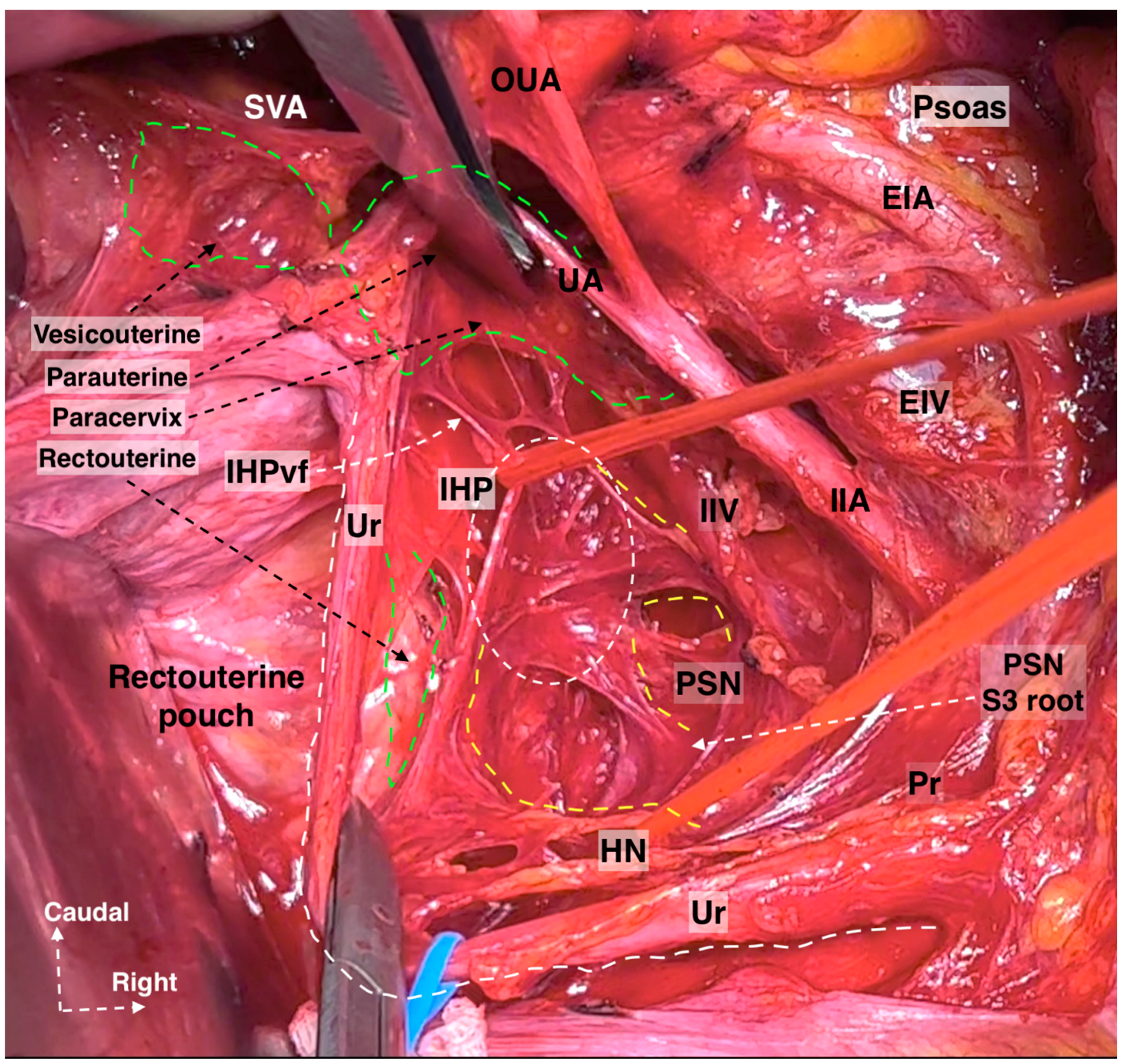 Diagnostics 14 00083 g021