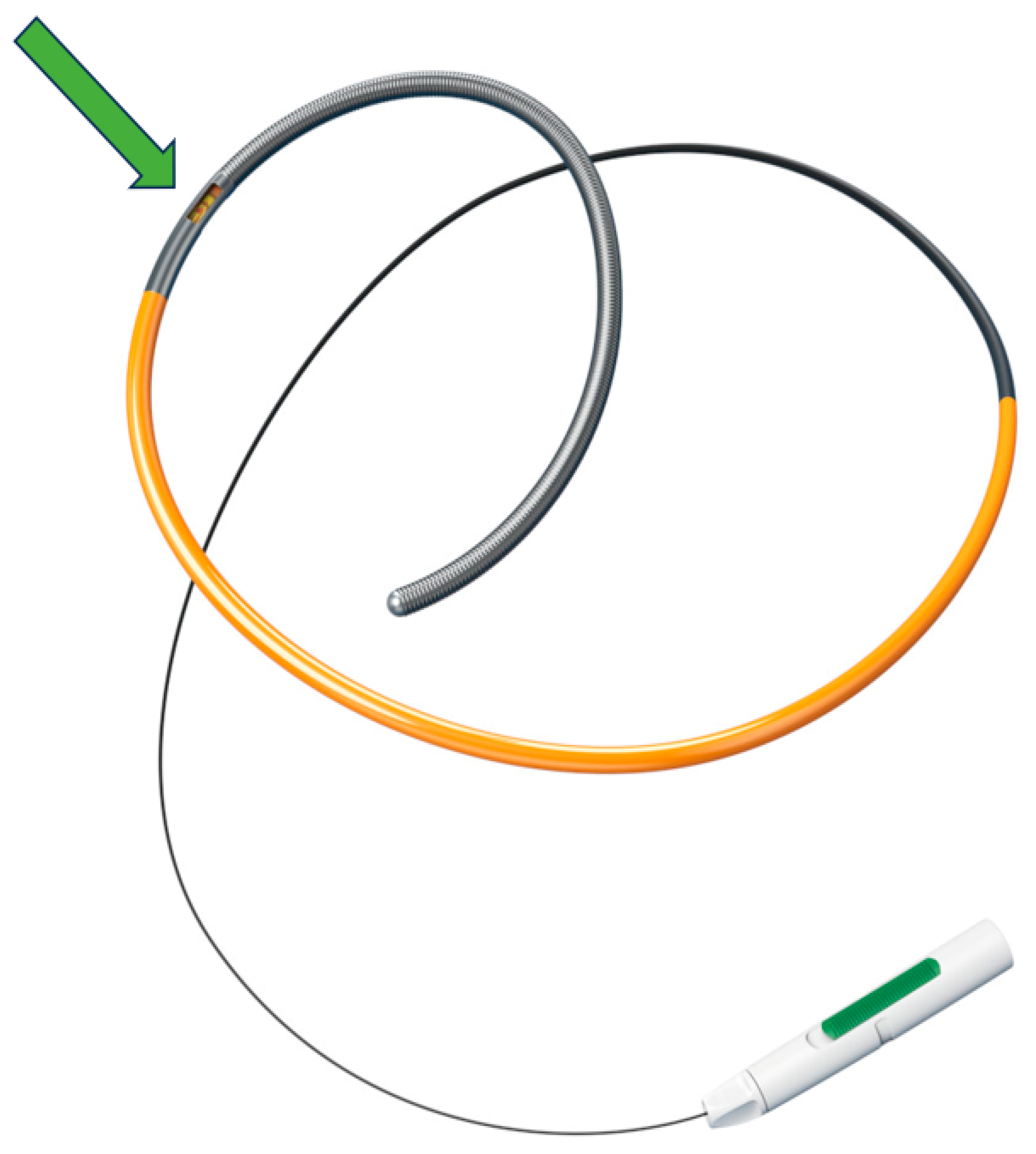 Diagnostics 14 00086 g003