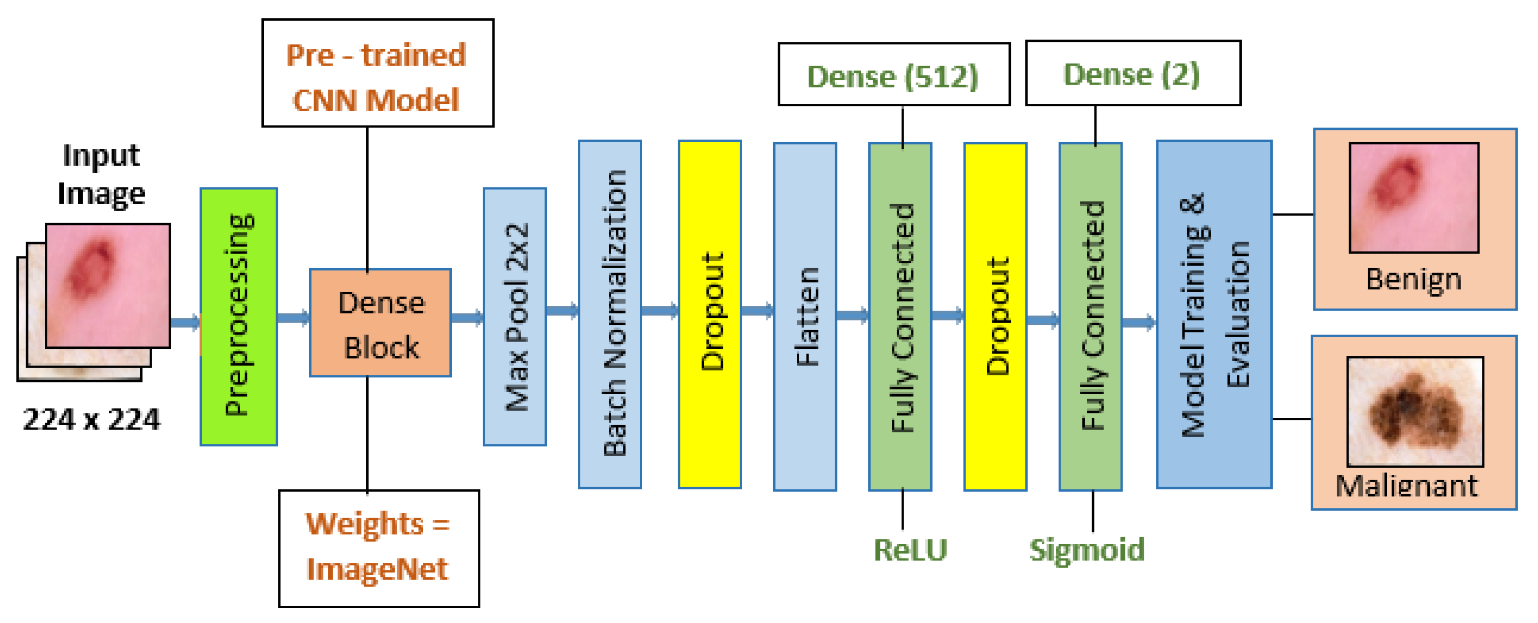 Diagnostics 14 00089 g005