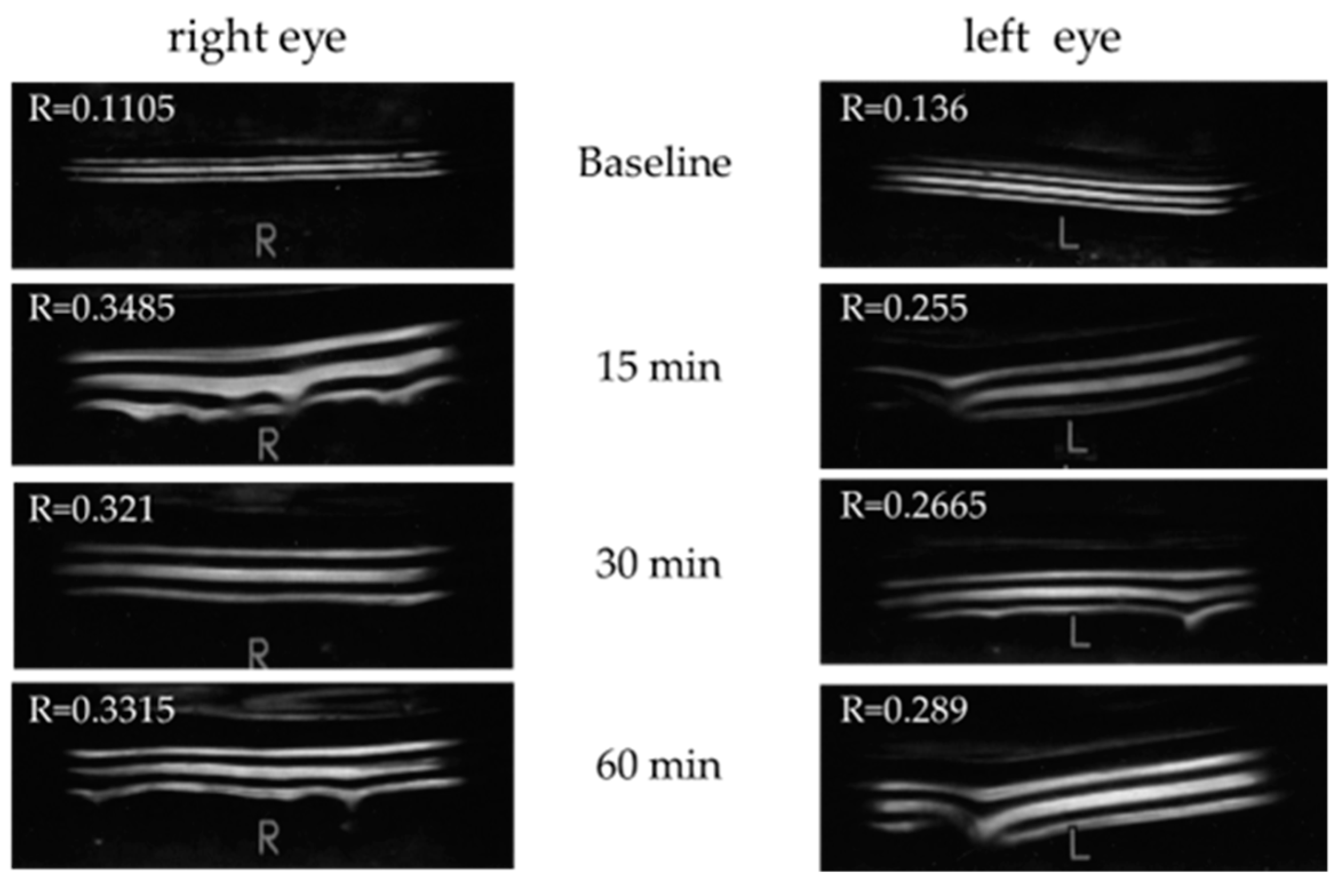 Diagnostics 14 00091 g005