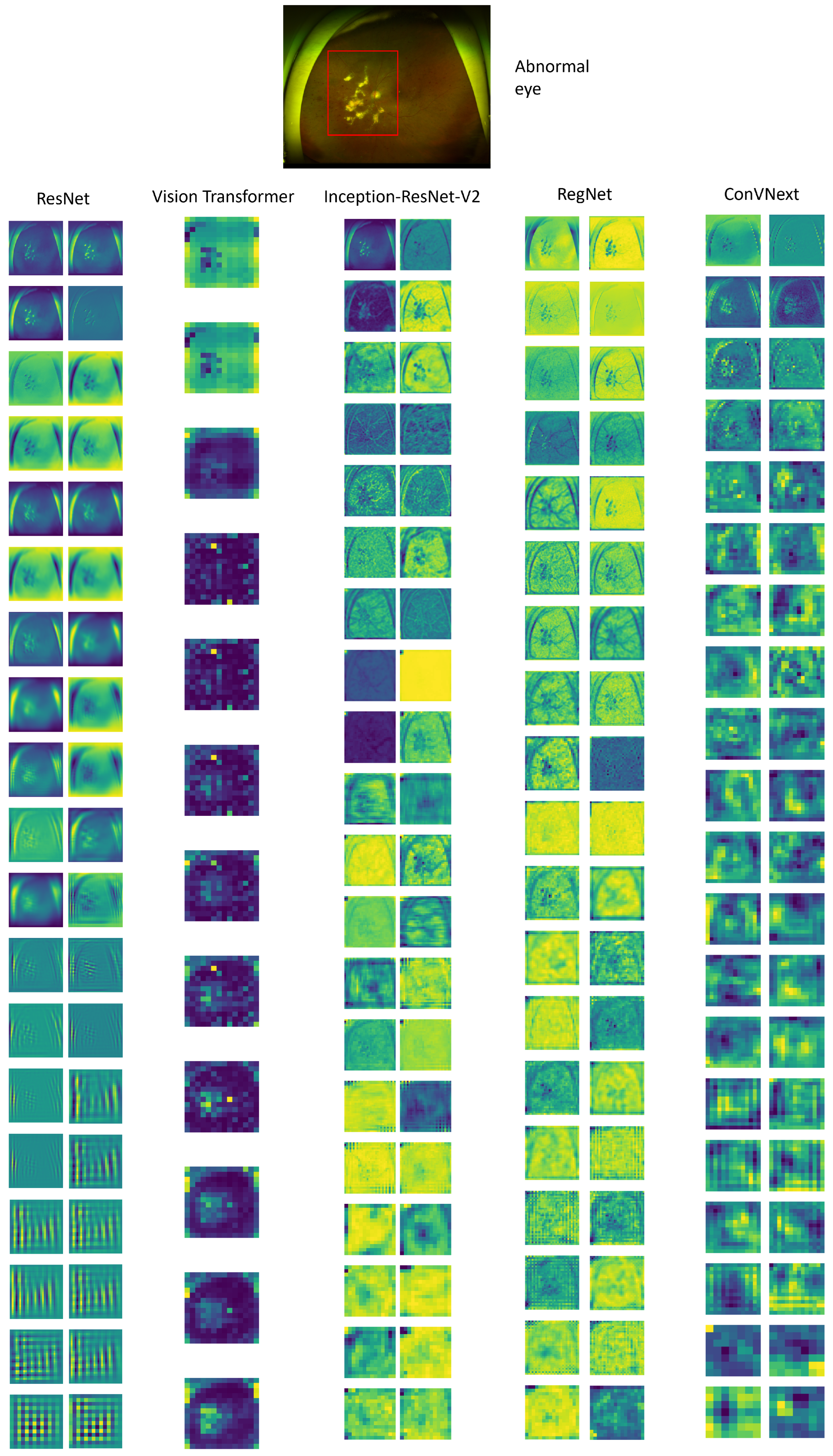 Diagnostics 14 00105 g007 Diagnostics 14 00105 g007