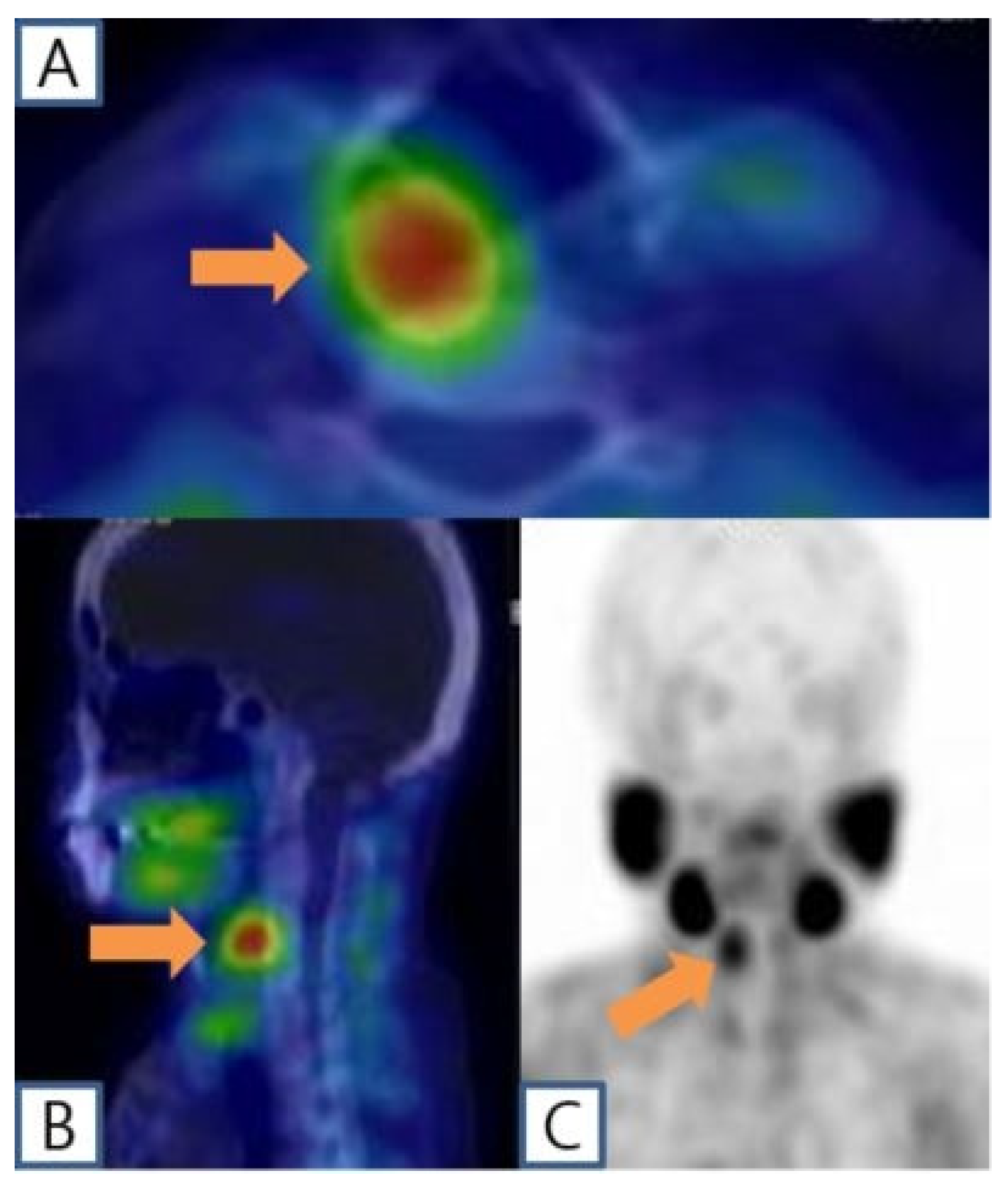 Diagnostics 14 00110 g002