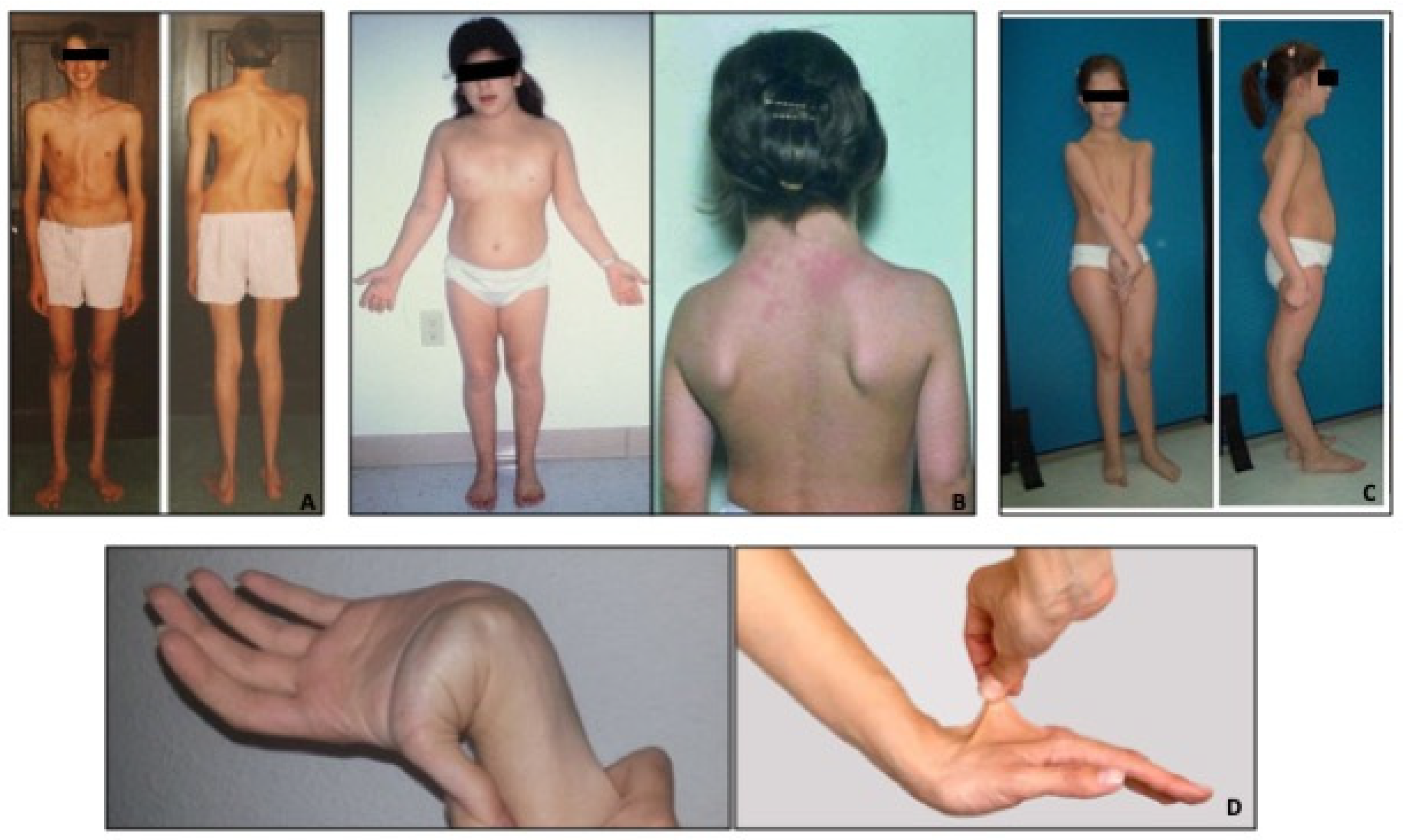 Diagnostics 14 00112 g001 Diagnostics 14 00112 g001